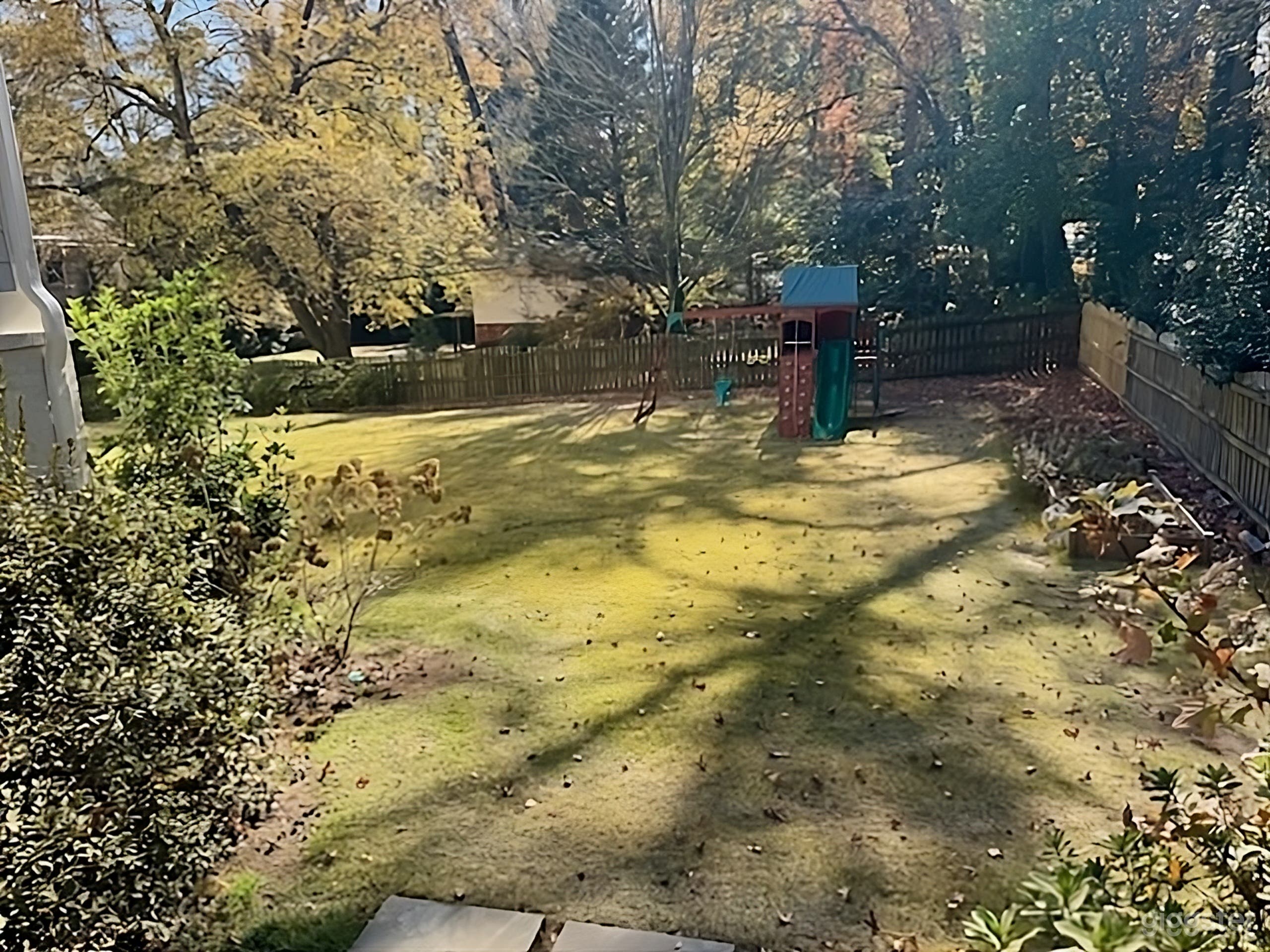 Sunny Lawn Backyard with Playset Photo 3