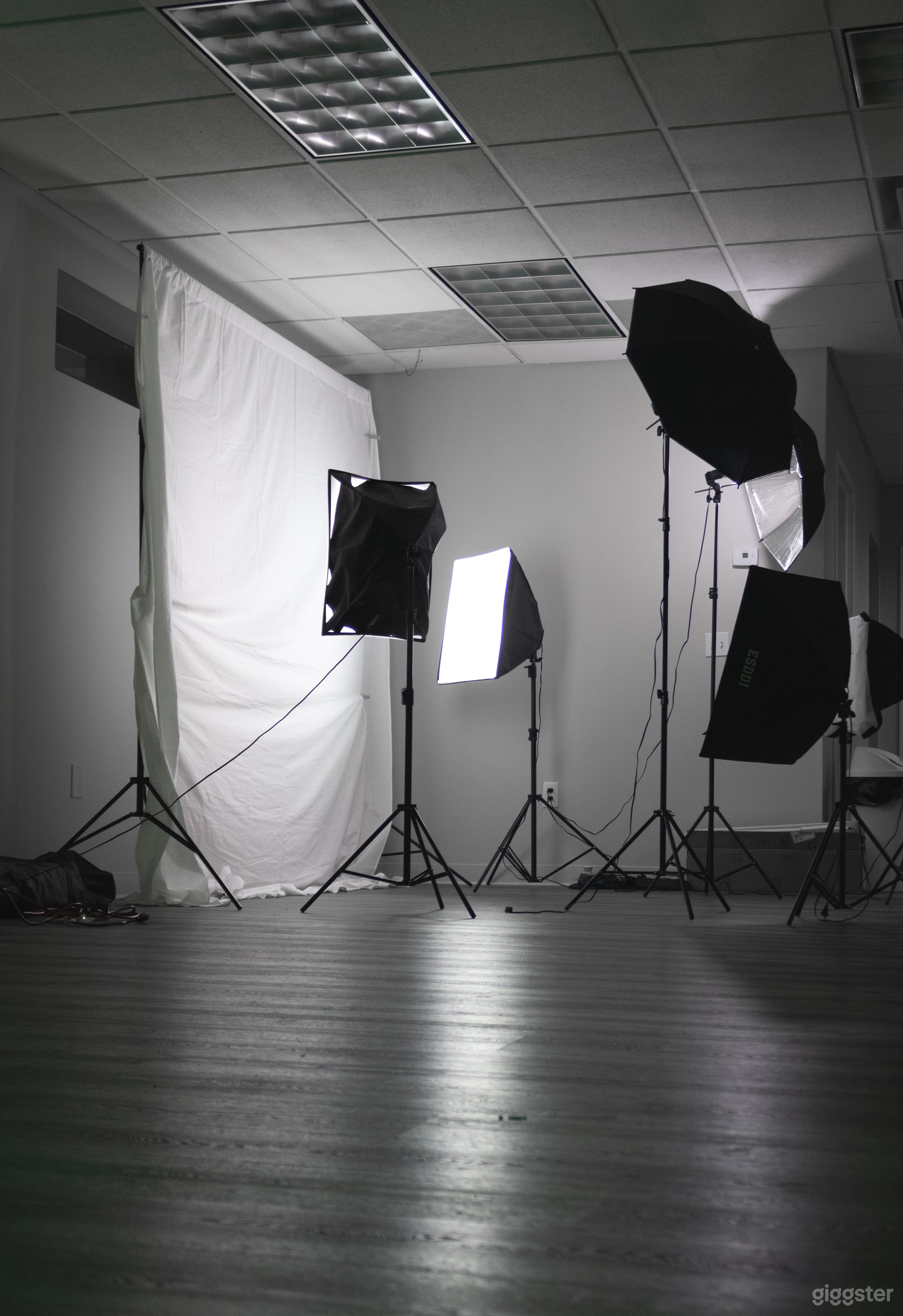 Luxurious Event/Photography Studio Commercial Space Photo 4