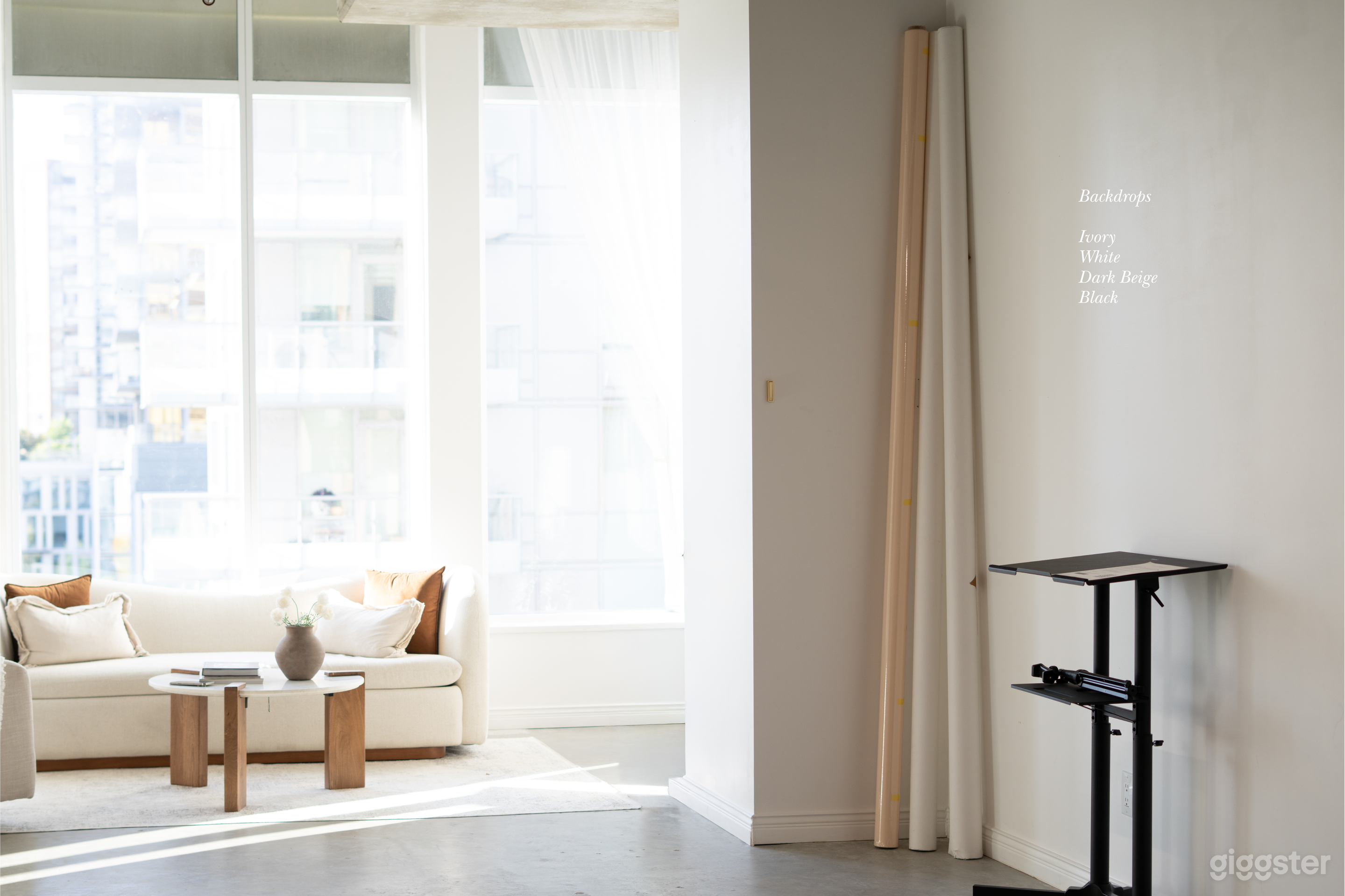 Stunning Sunlit Industrial Studio in Burnaby Photo 3