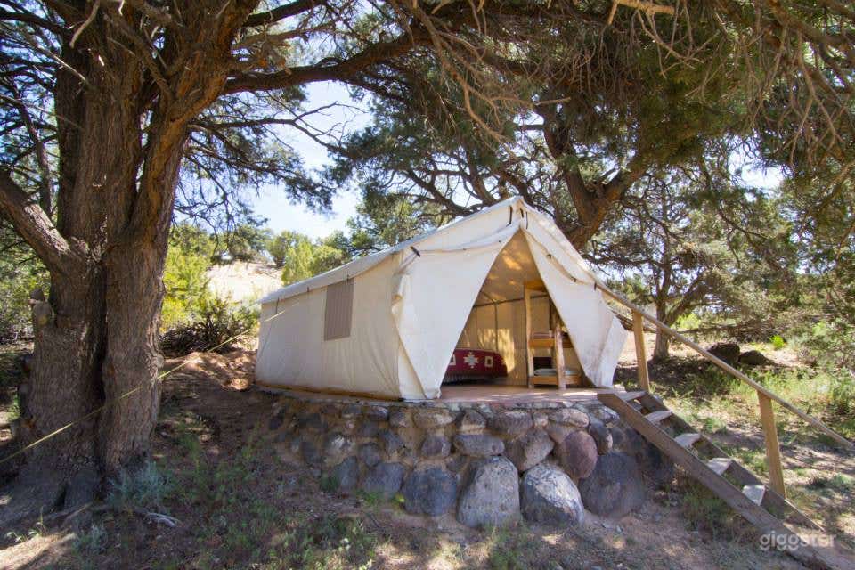 Traditional Yurts with Mongolian Touch Photo 4