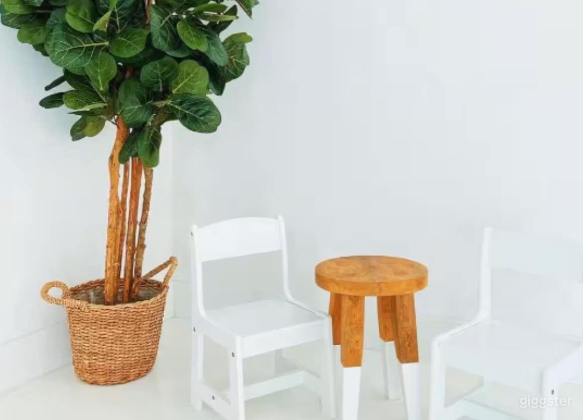 Classic Light Studio Photo 4