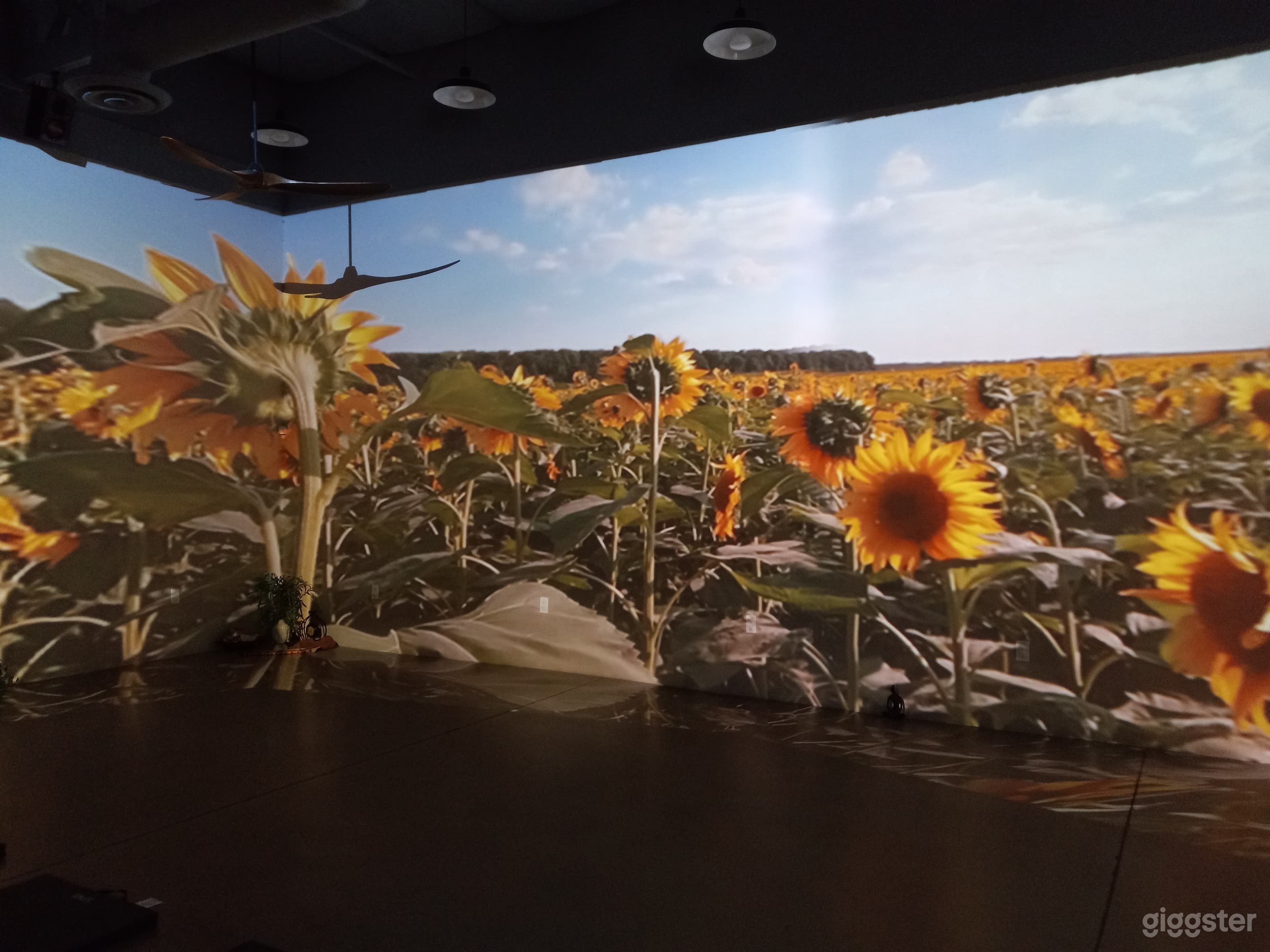 Picture whatever you want for your needs. From flowers to waterfalls. 