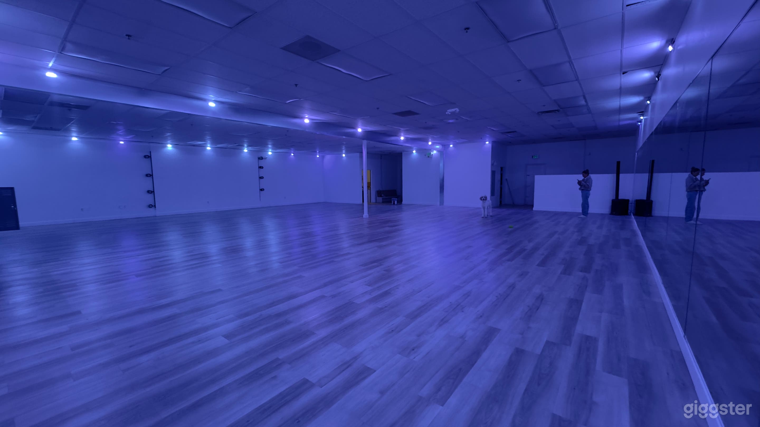 Spacious Open Concept Dance Studio Photo 3