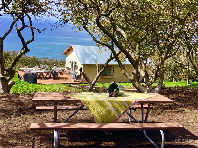  Picnic table under shade of avocado trees overlooking cabin and adjoining deck 