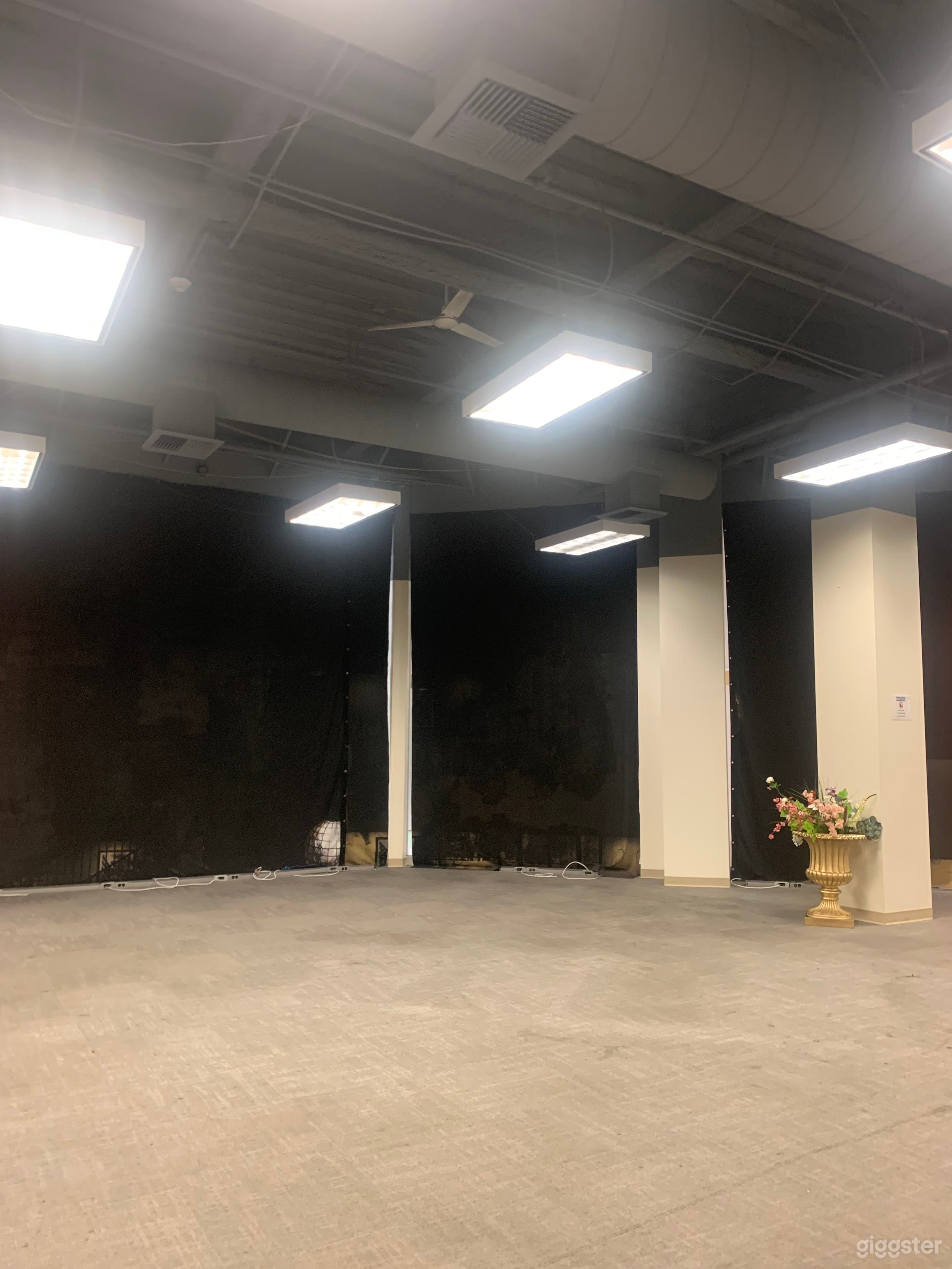 Spacious Multi-purpose Creative Space! Photo 2