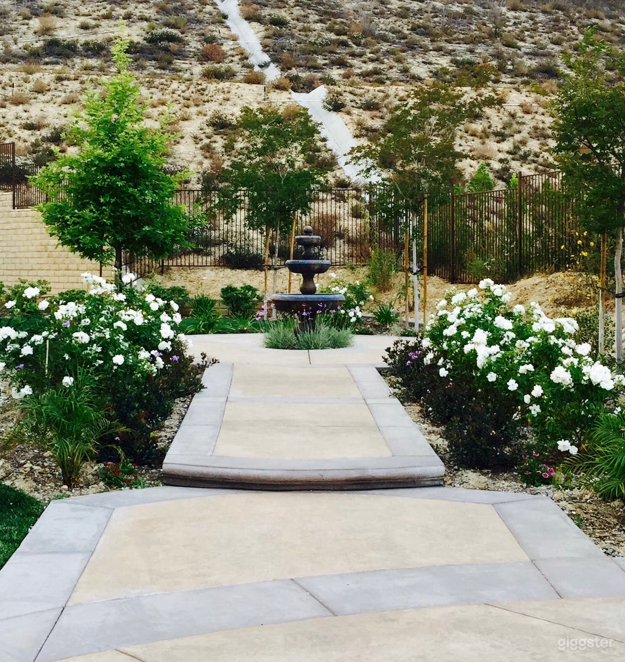 Spectacular 5 Acre Ranch Style. Events/Film Photo 3