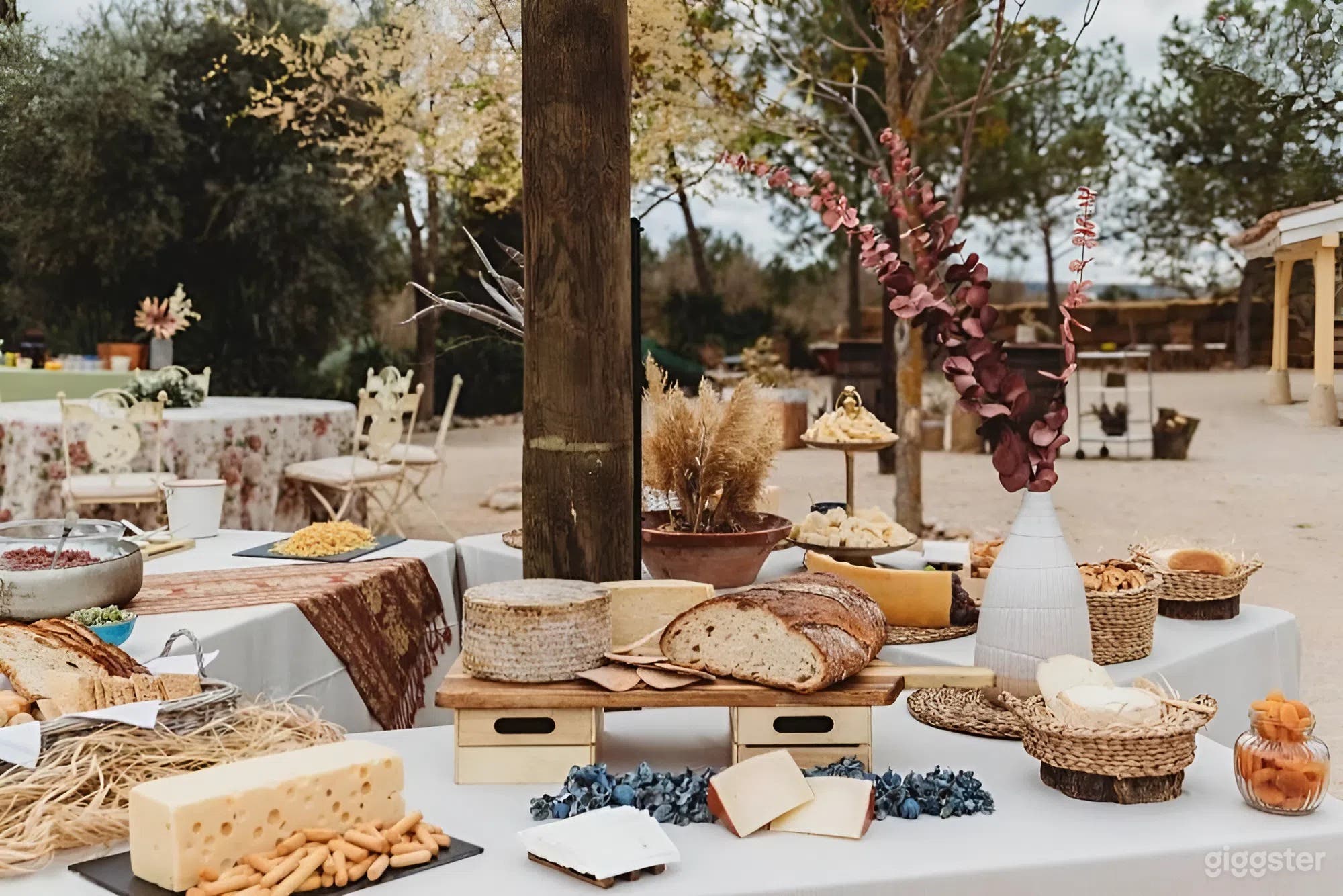 Olive Grove Estate with valley views and event space Photo 4