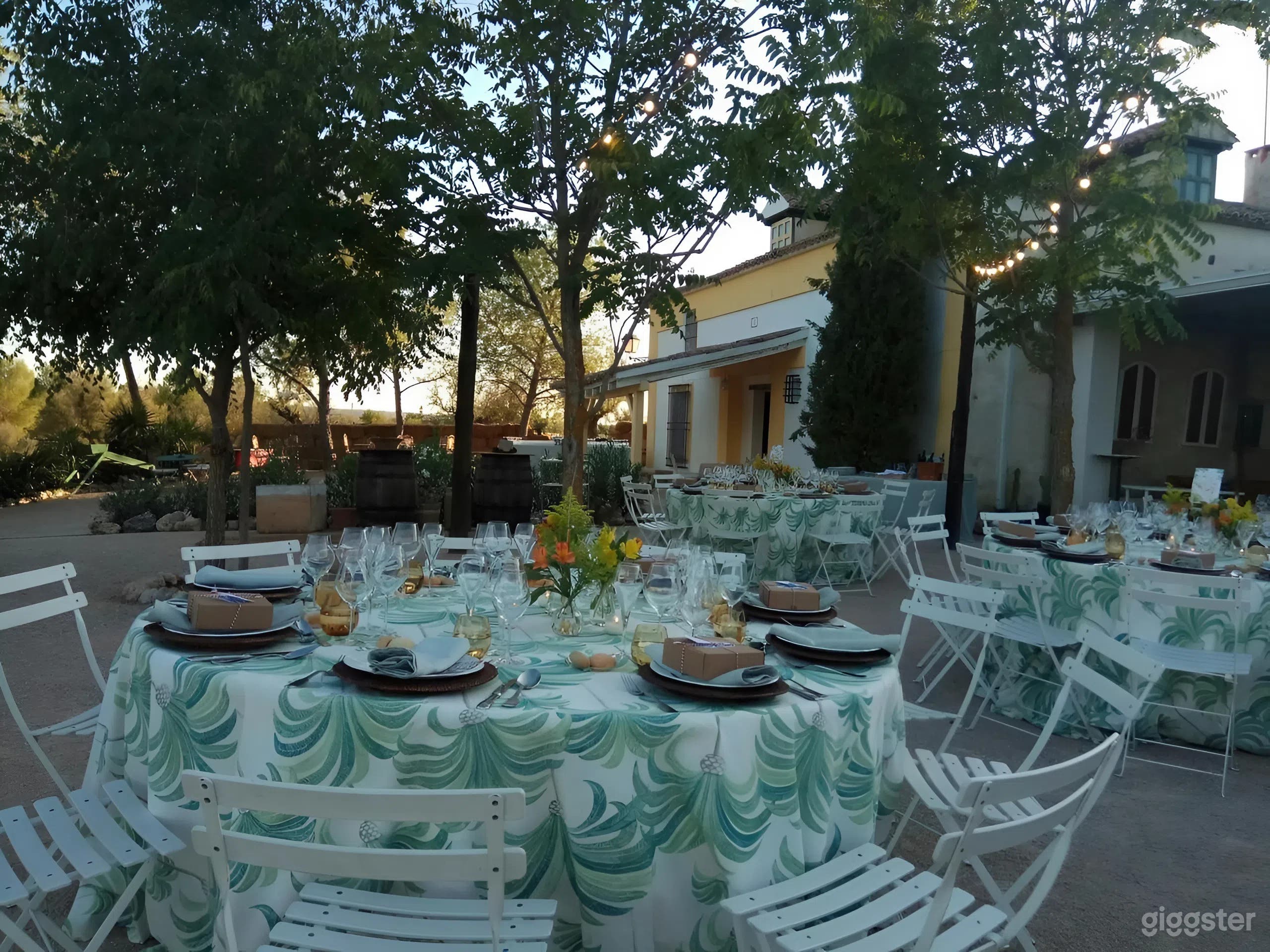 Olive Grove Estate with valley views and event space Photo 3