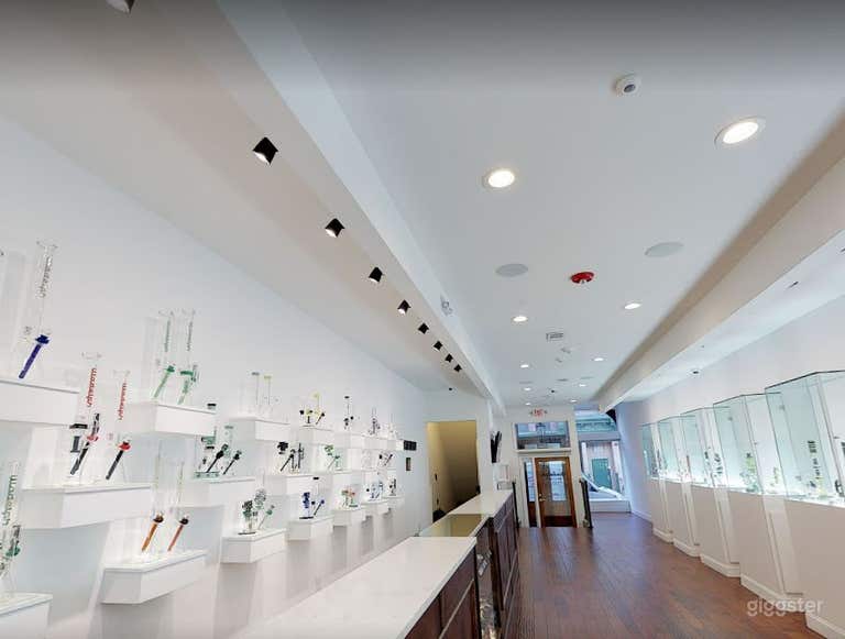  High-End Glass Artworks Gallery In Philadelphia 