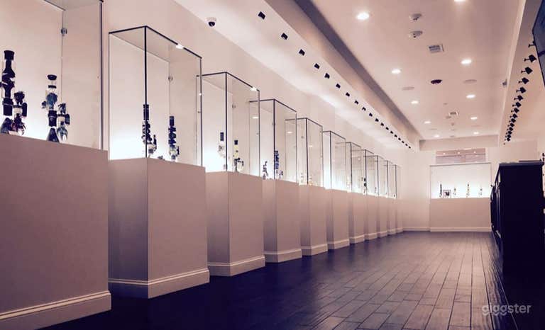  High-End Glass Artworks Gallery In Philadelphia 