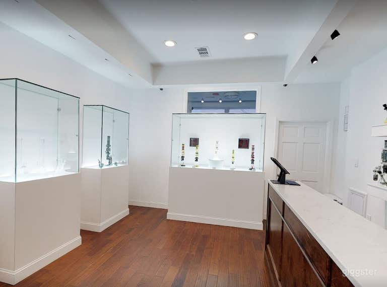  High-End Glass Artworks Gallery In Philadelphia 