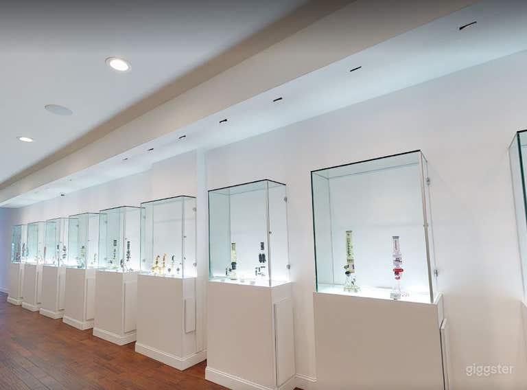  High-End Glass Artworks Gallery In Philadelphia 