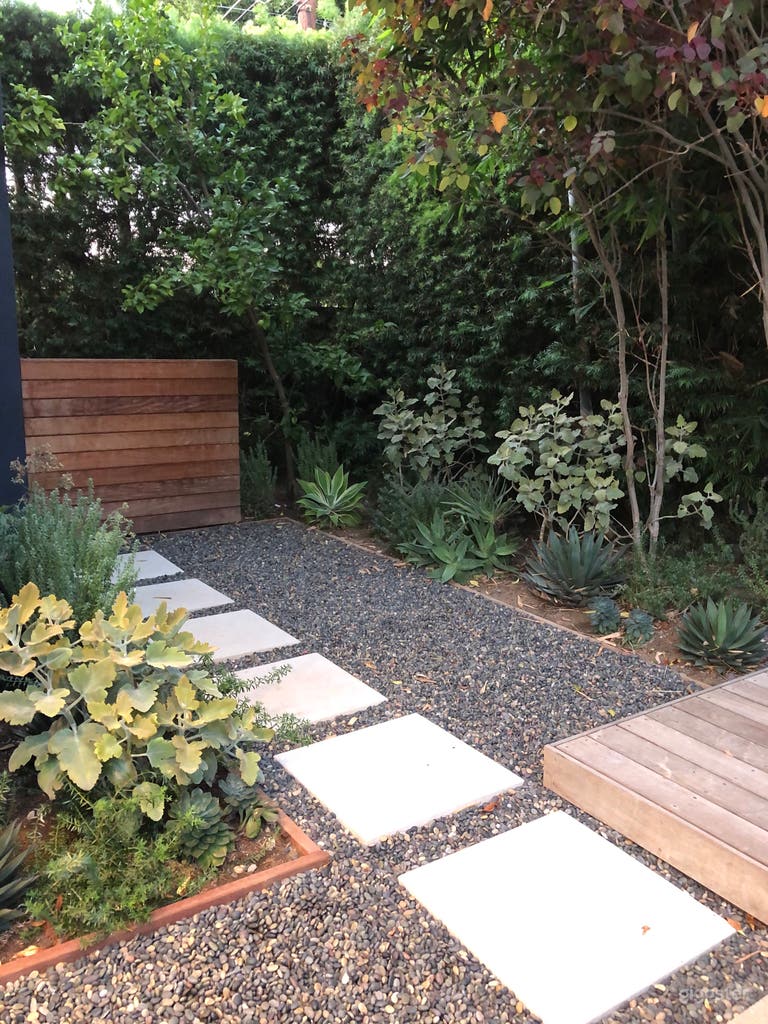  Modern house, pool, trees and green landscaping.  