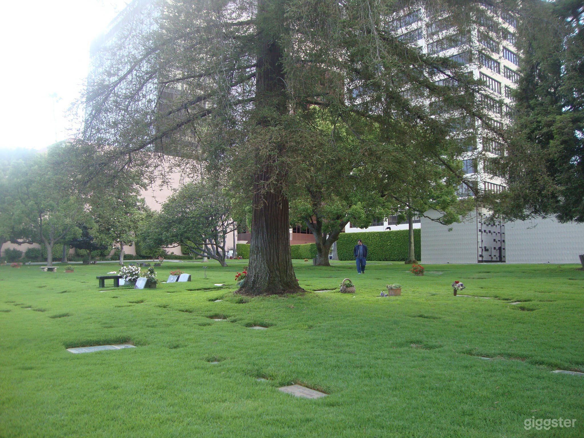 Westwood Park Photo 2