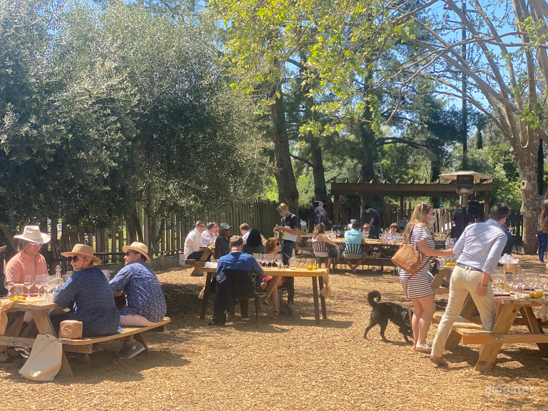  Kivelstadt Half-Garten 