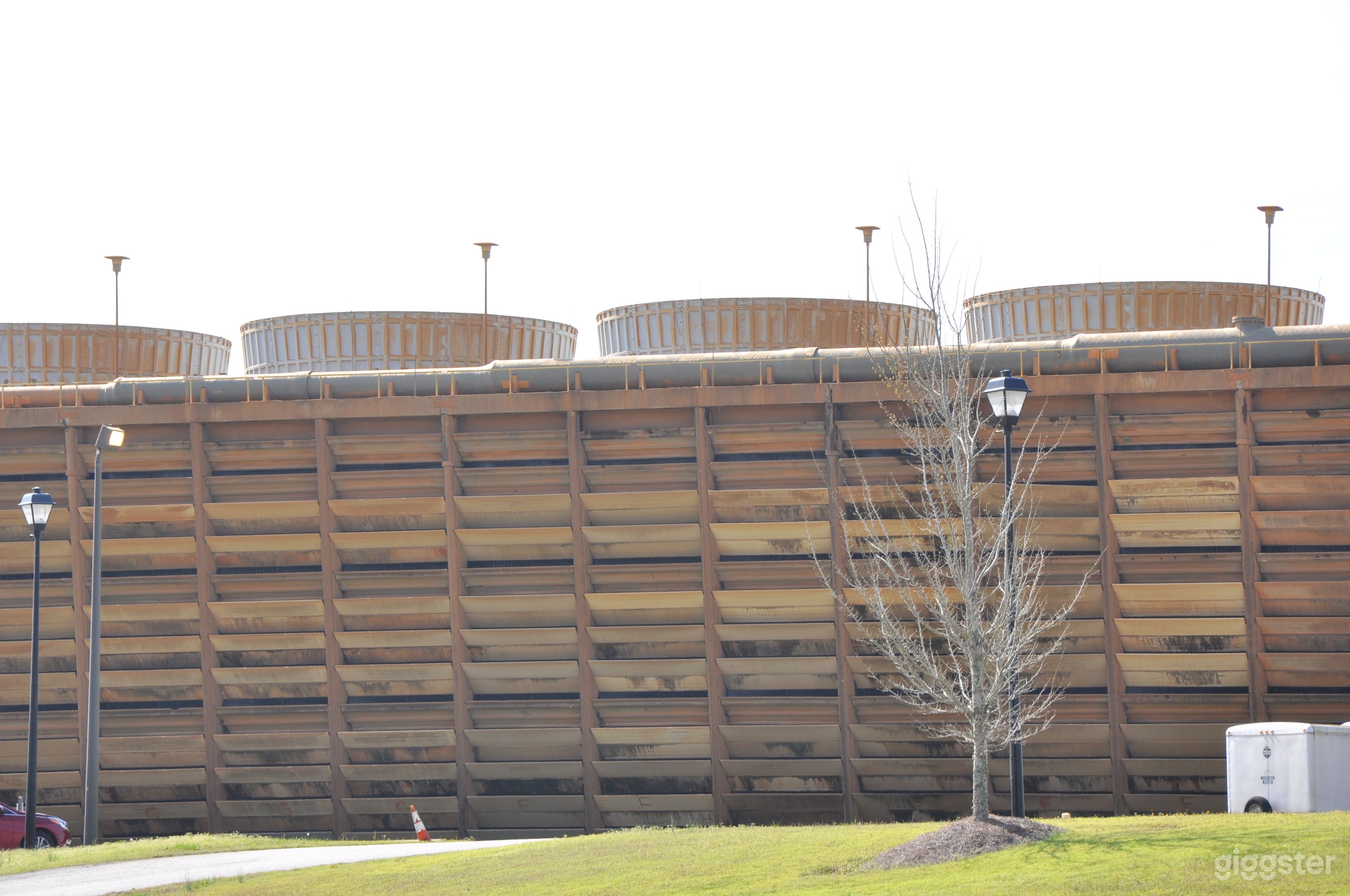 Plant in Coweta County GA Photo 4