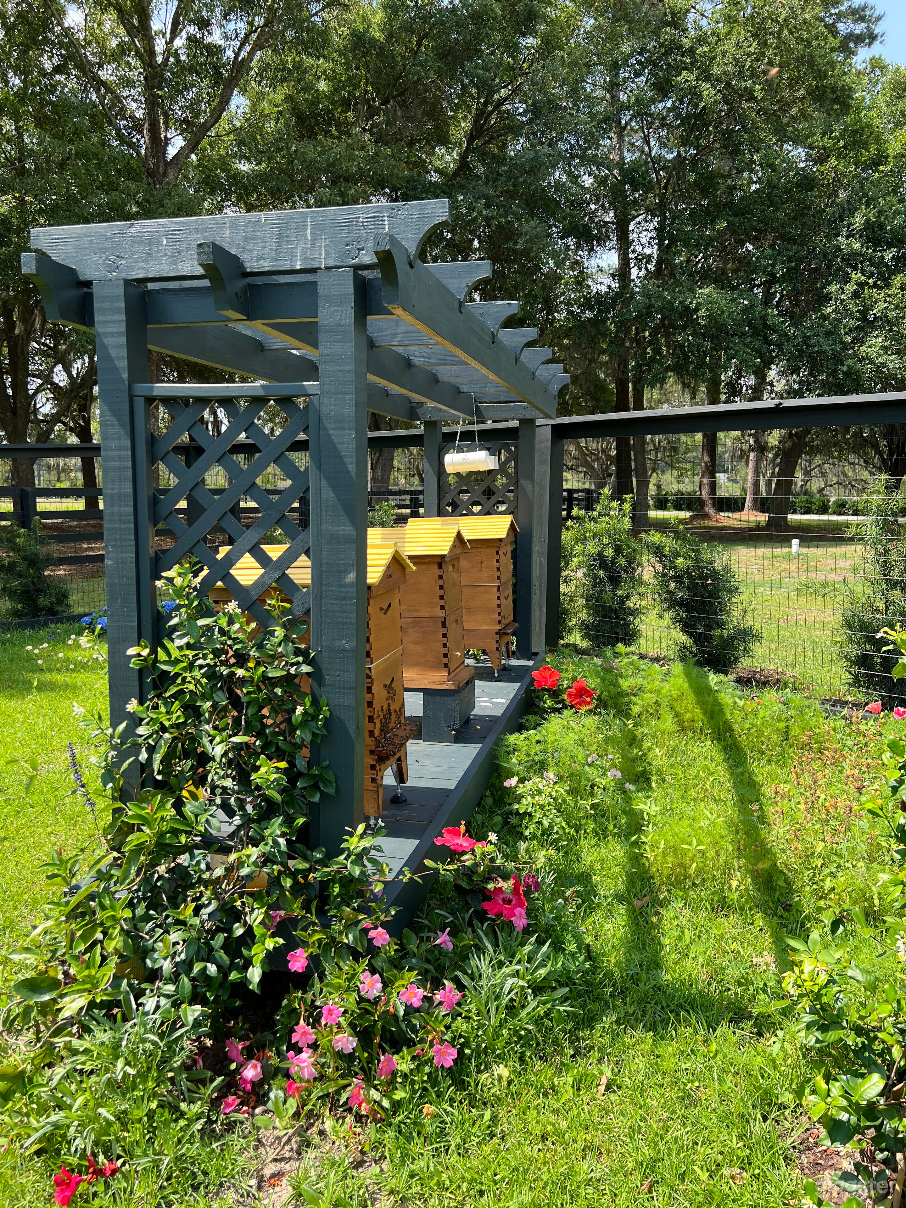 23 acres marsh view with 8 stall stable  Photo 2