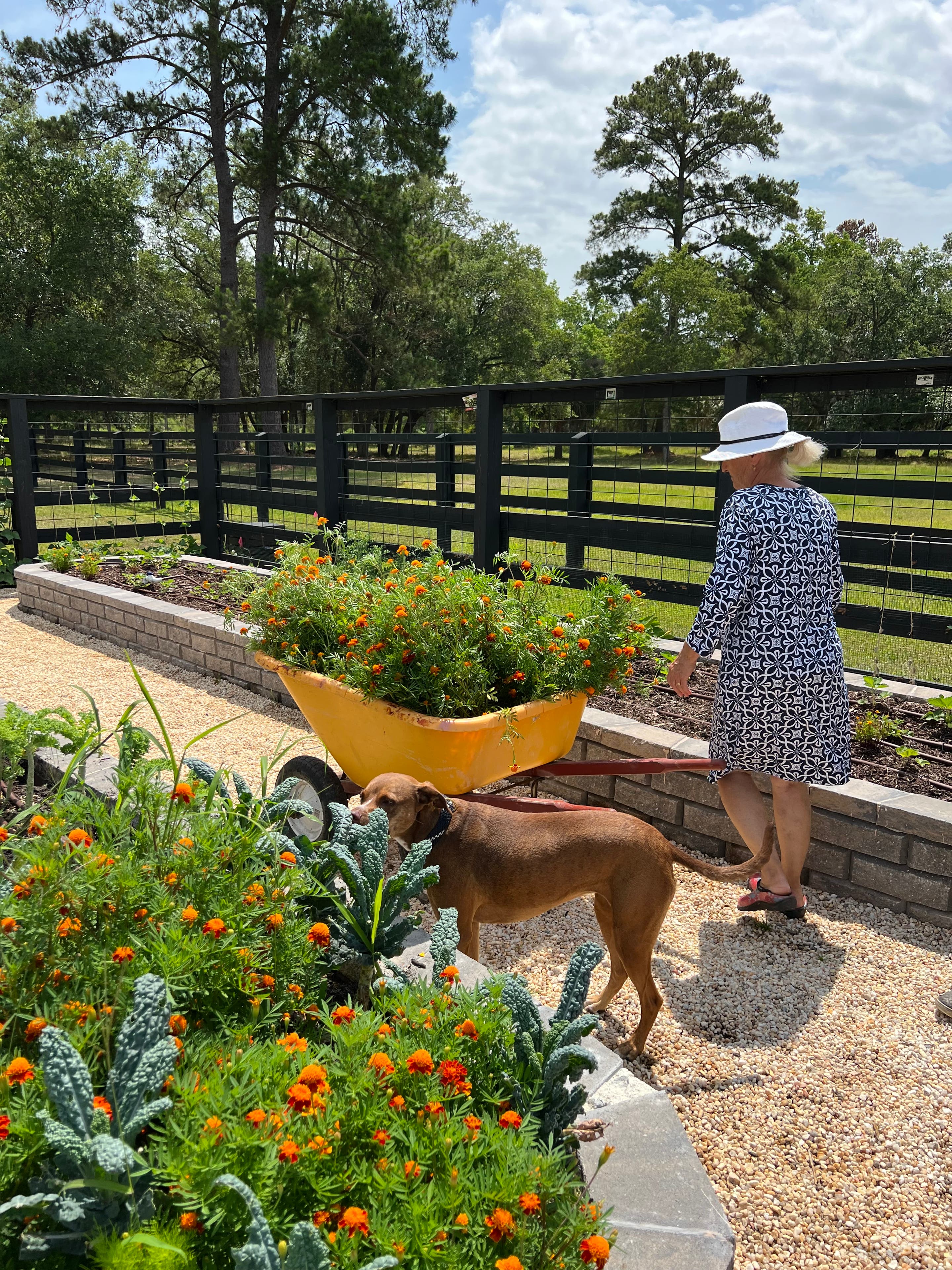 23 acres marsh view with 8 stall stable  Photo 3