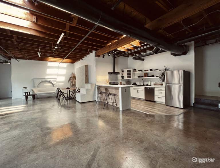  Modern Loft and Photography Buyout 