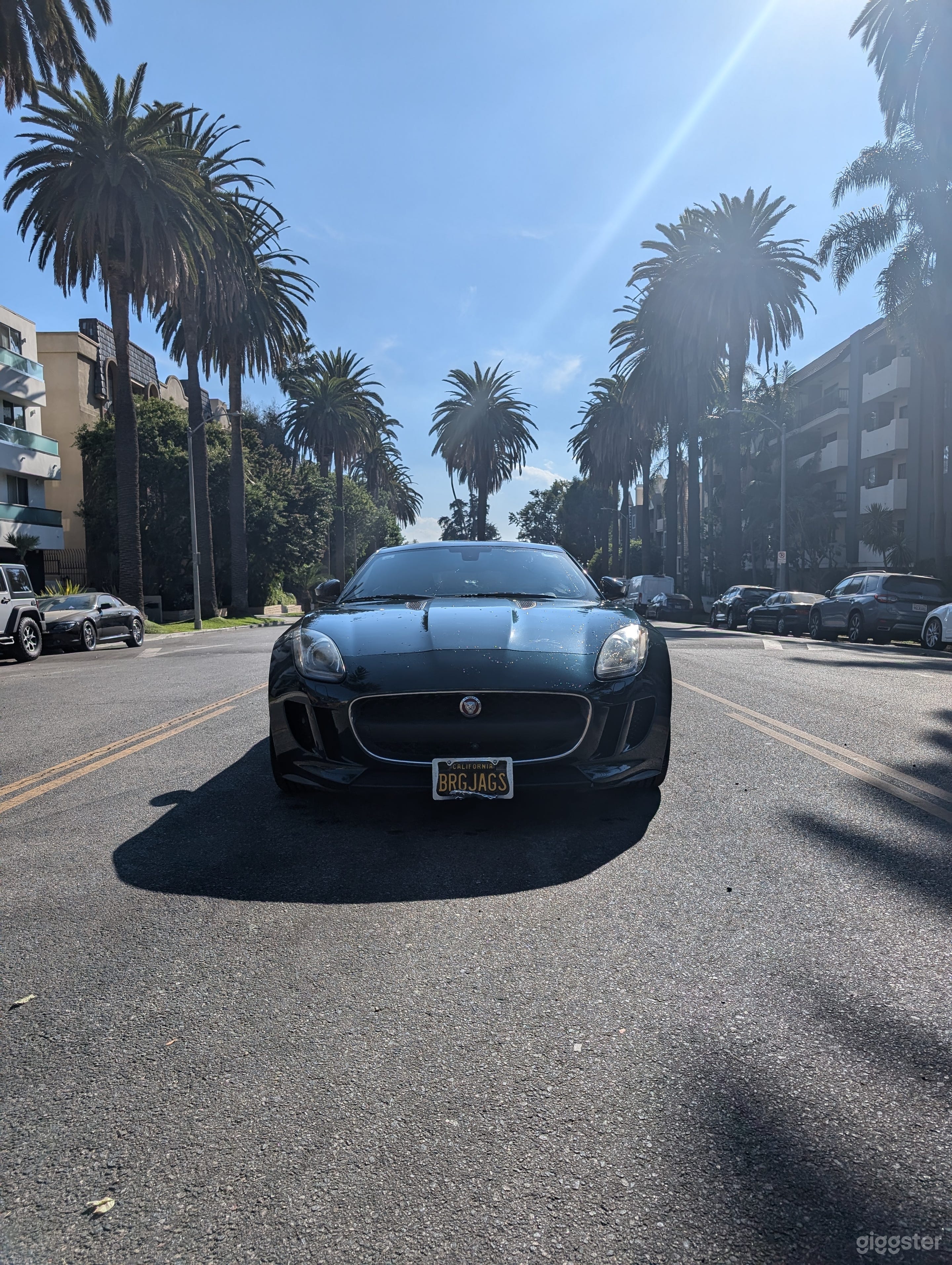 Jaguar F Type Photo 4