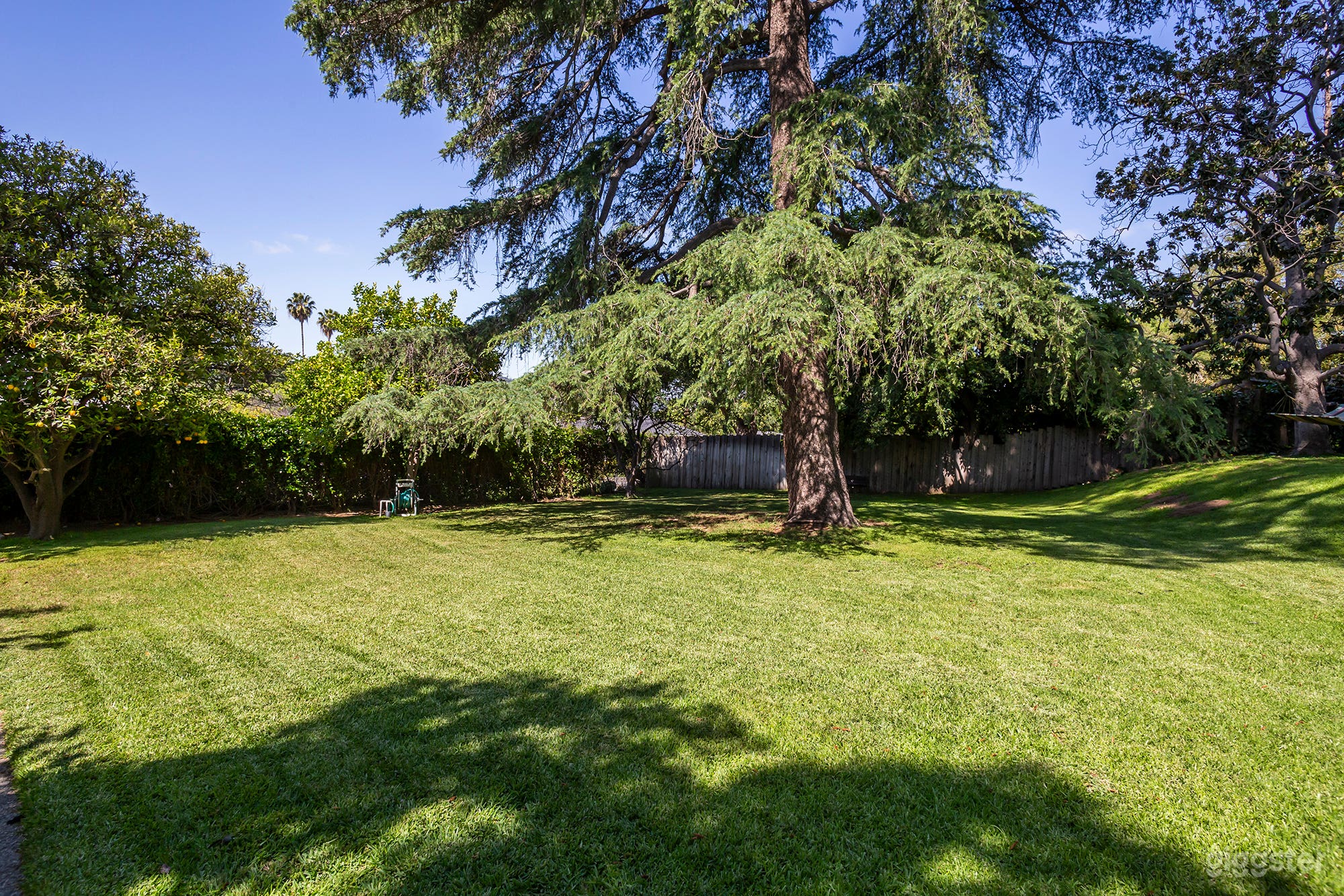 Mansion No.2025 Photo 3