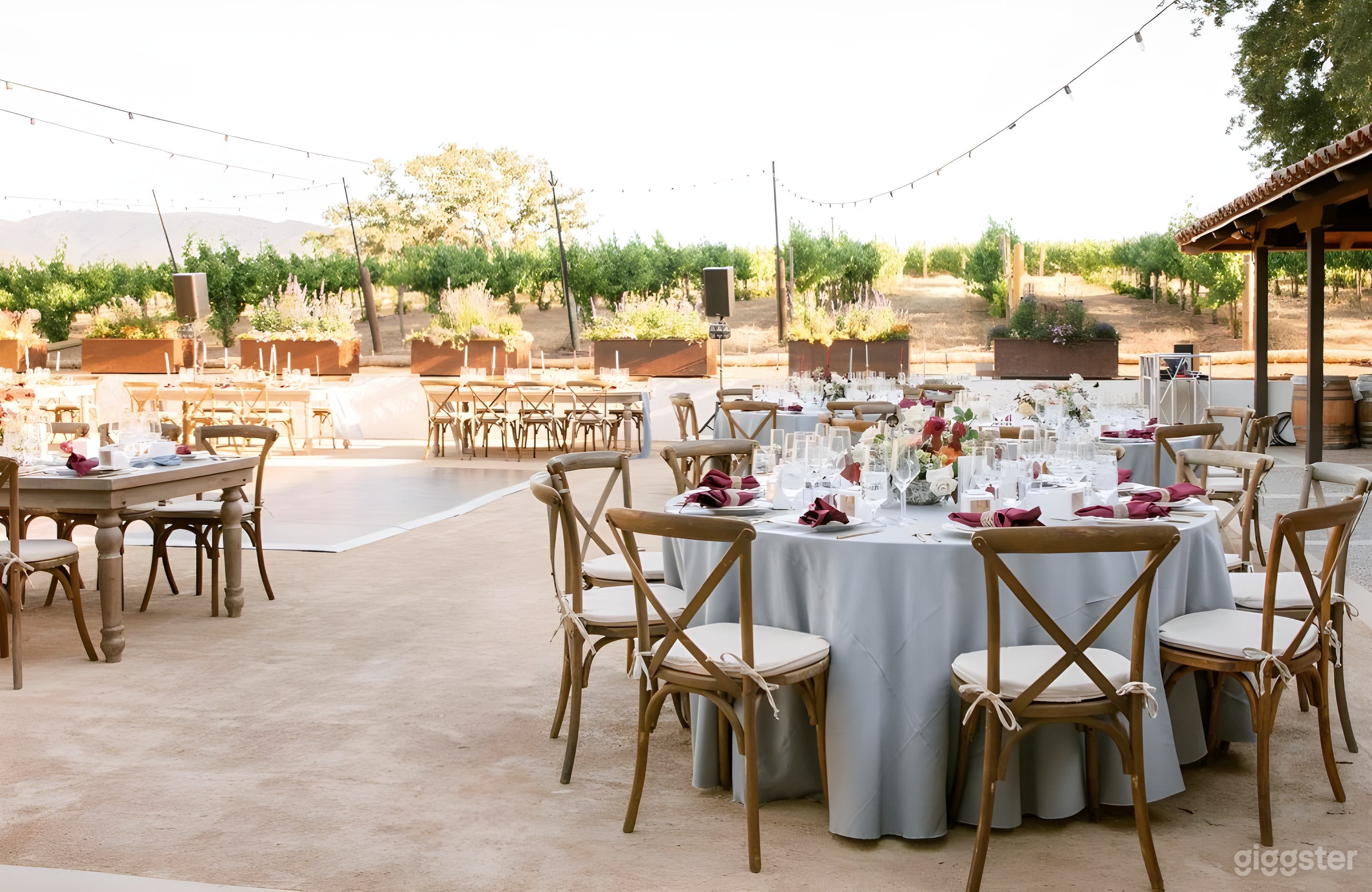 The Charming Terrace Photo 2