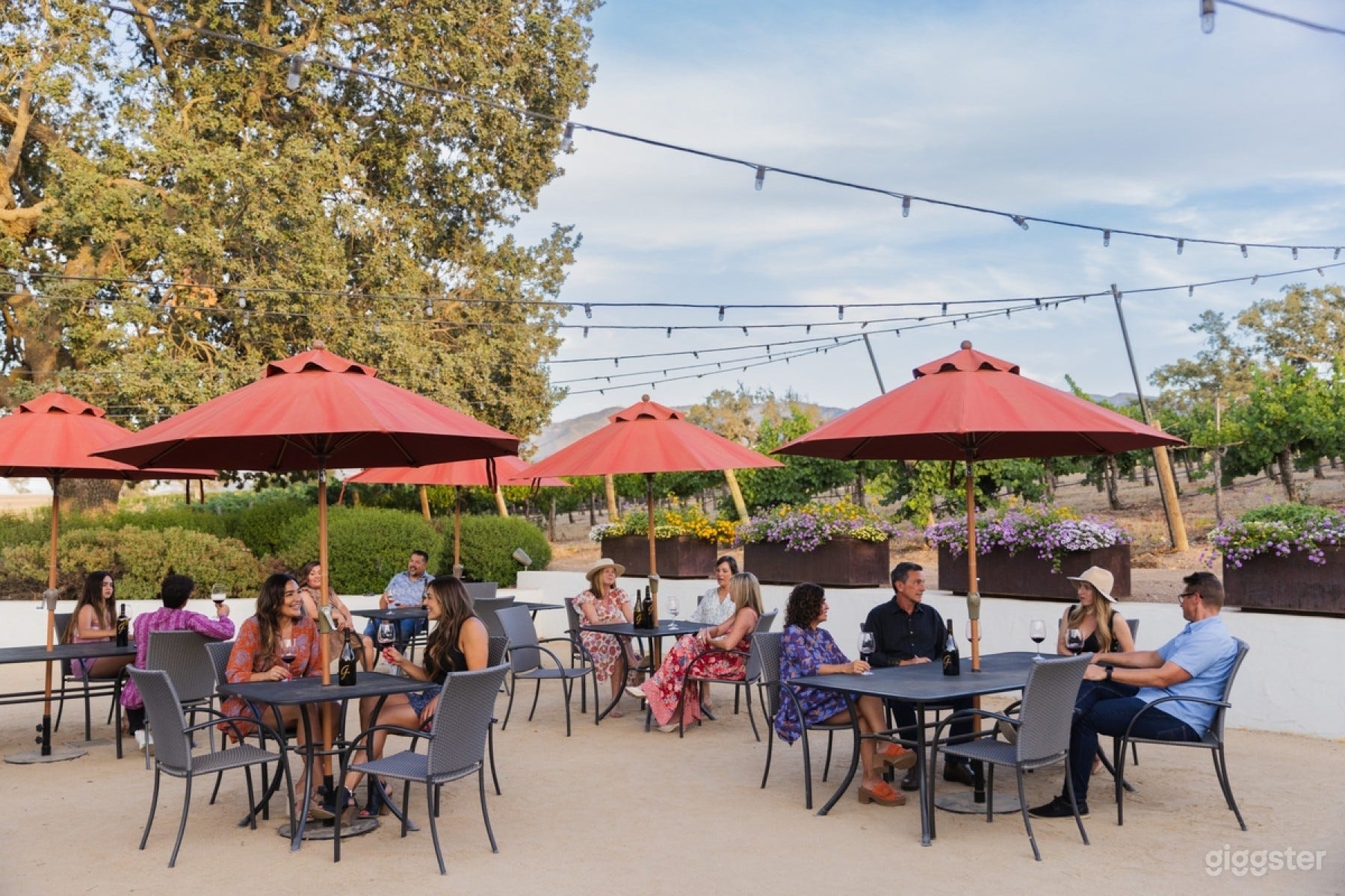 The Charming Terrace Photo 4