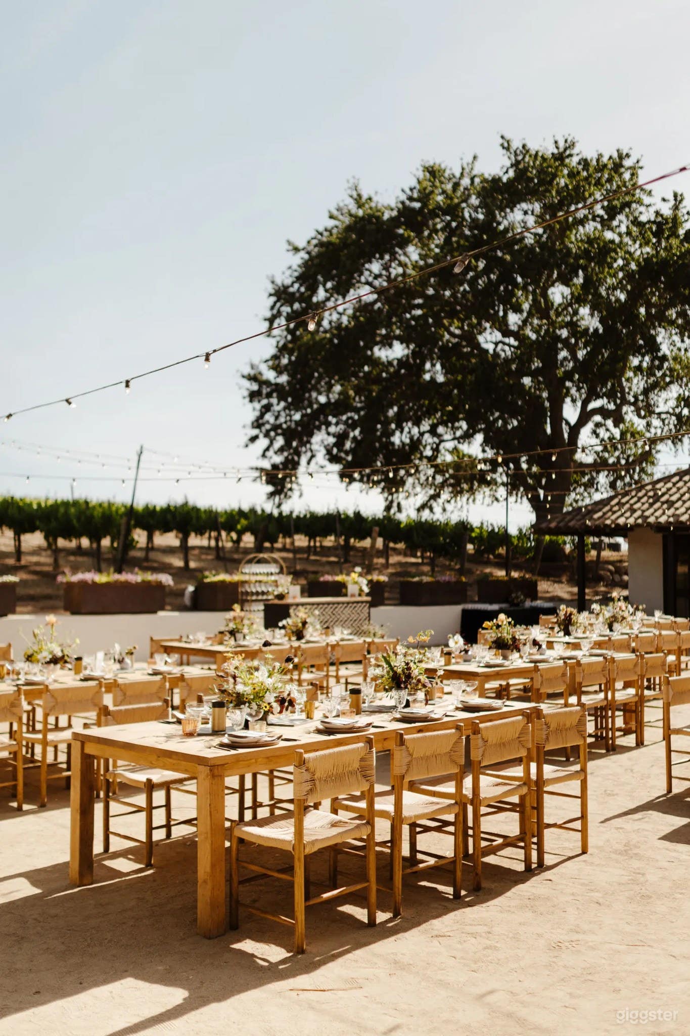 The Charming Terrace Photo 3