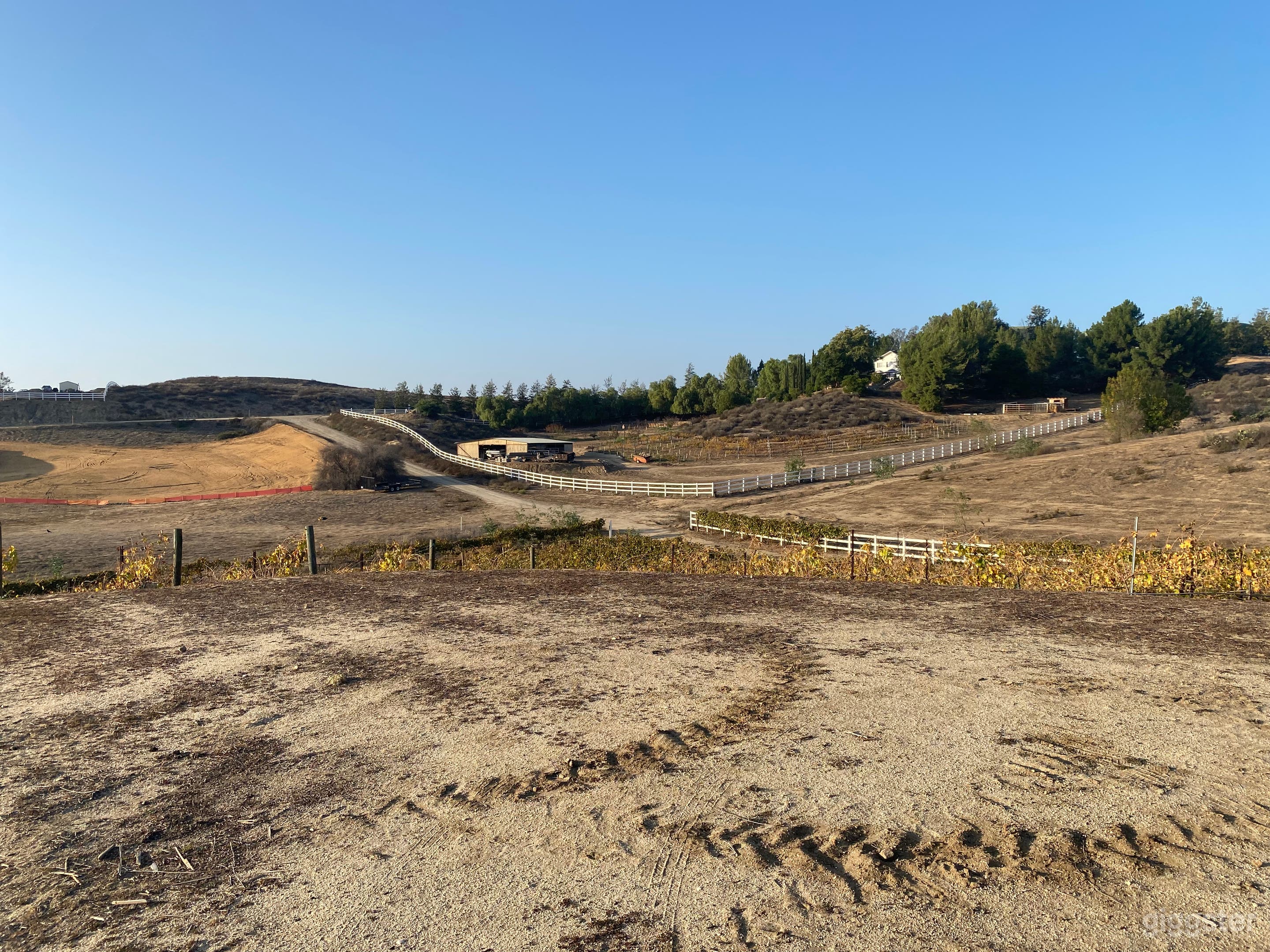 Temecula Valley Small Vineyard  Photo 2