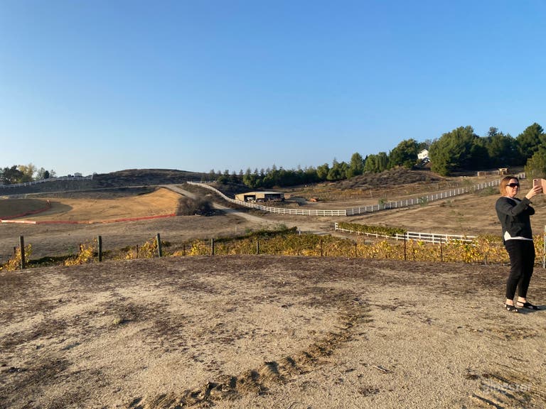  Temecula Valley Small Vineyard  