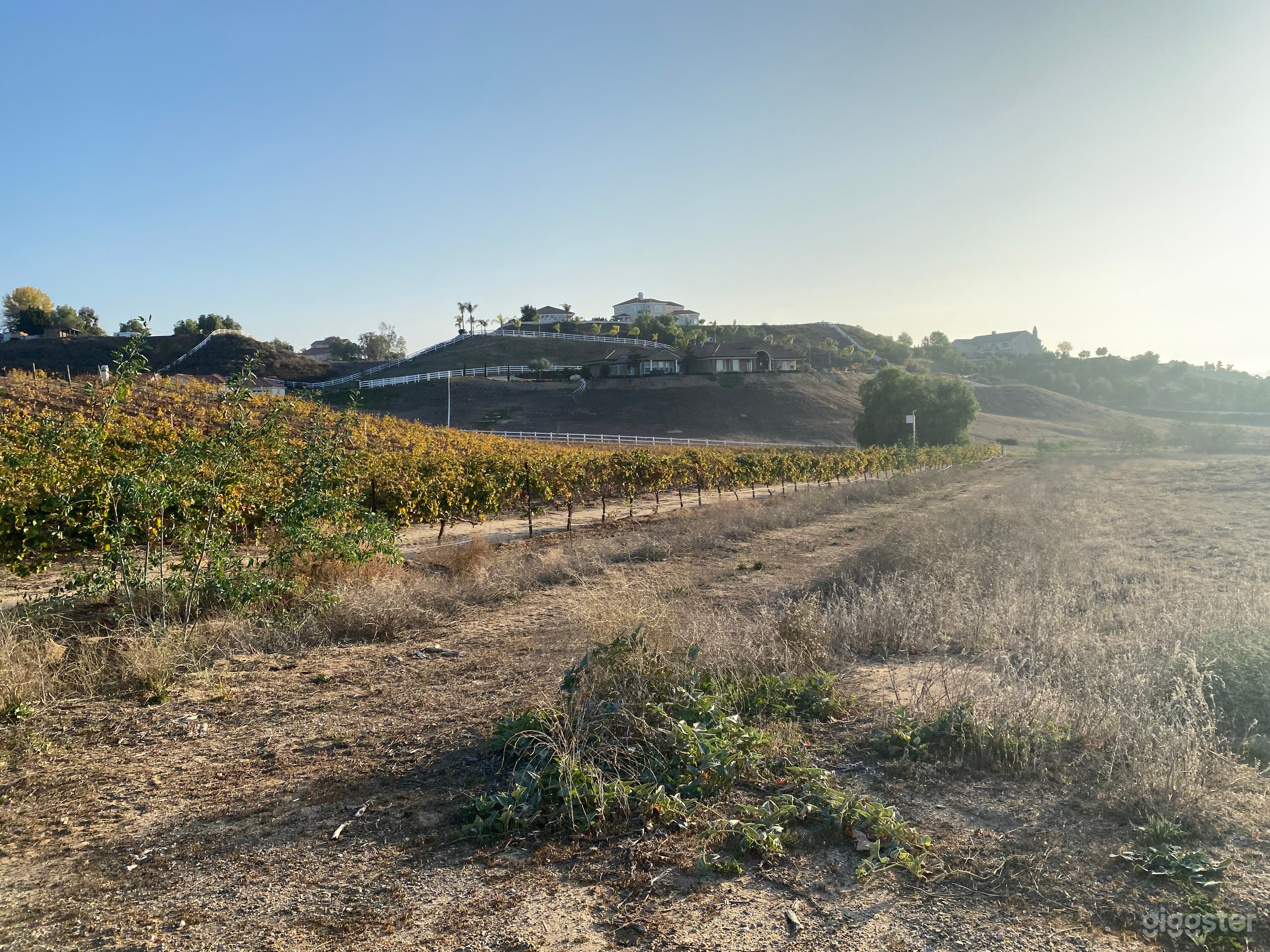 Temecula Valley Small Vineyard  Photo 1