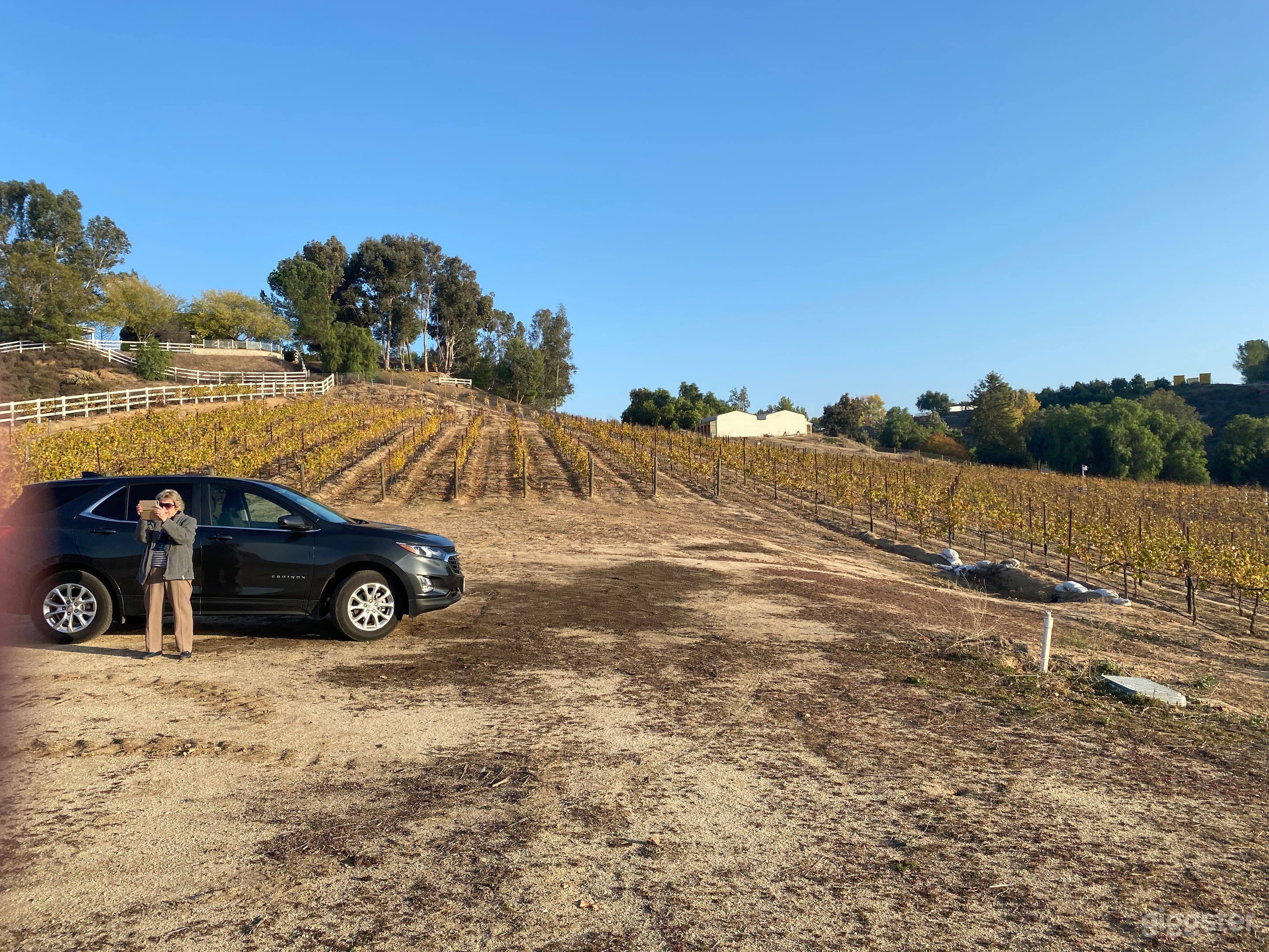 Temecula Valley Small Vineyard  Photo 3