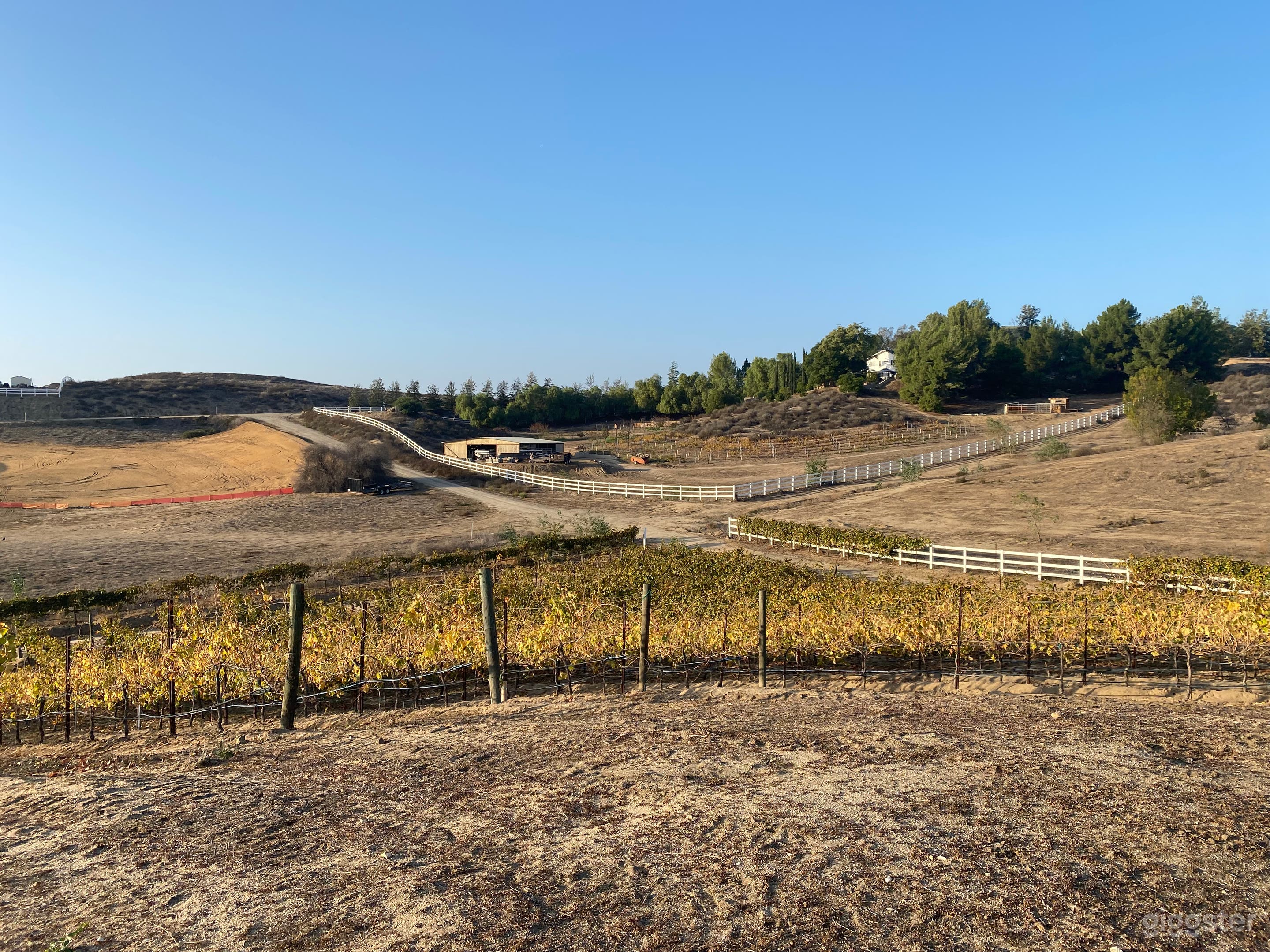 Temecula Valley Small Vineyard  Photo 4