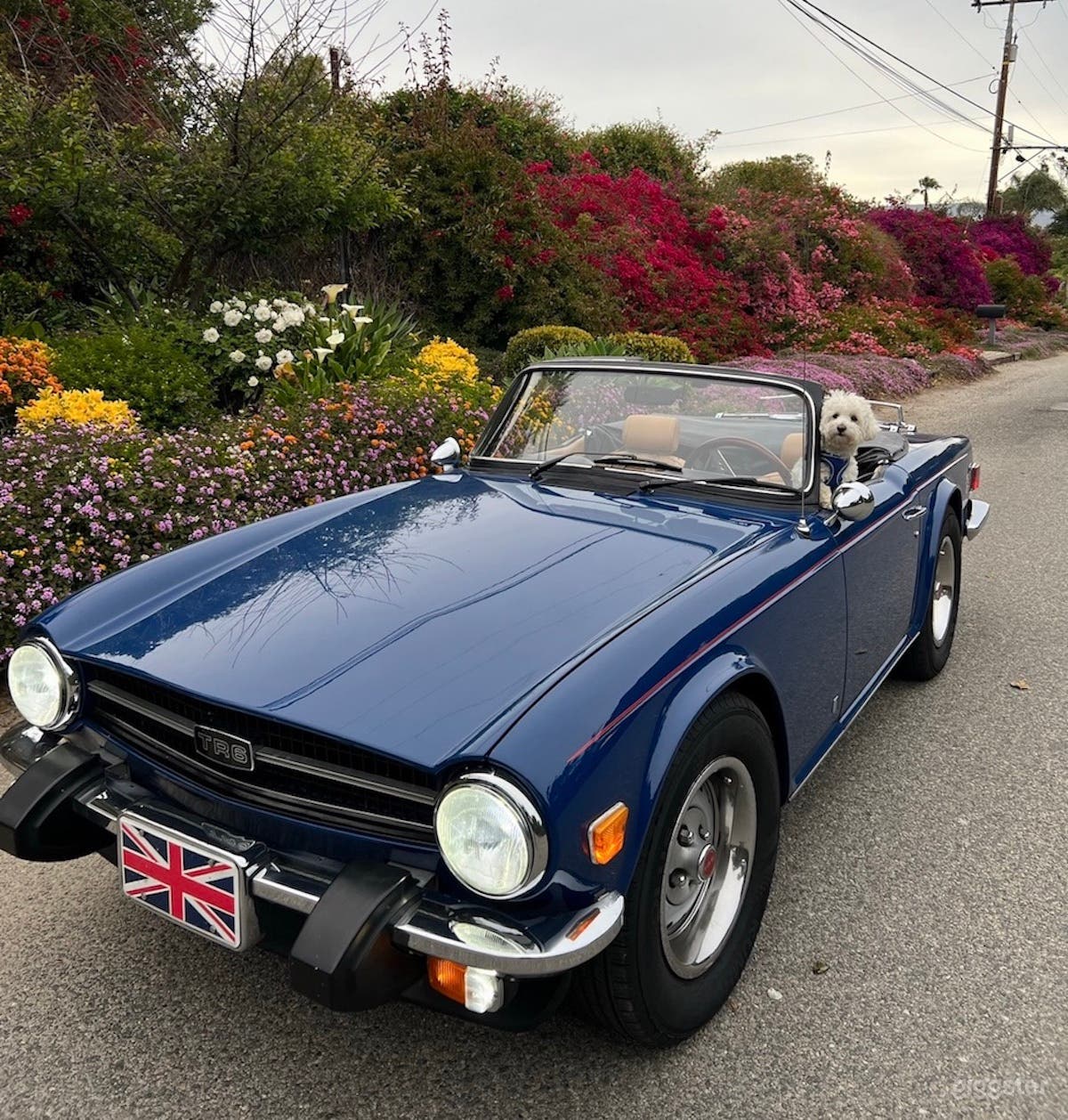 #76,109 Classic 1975 Triumph TR6 Photo 1