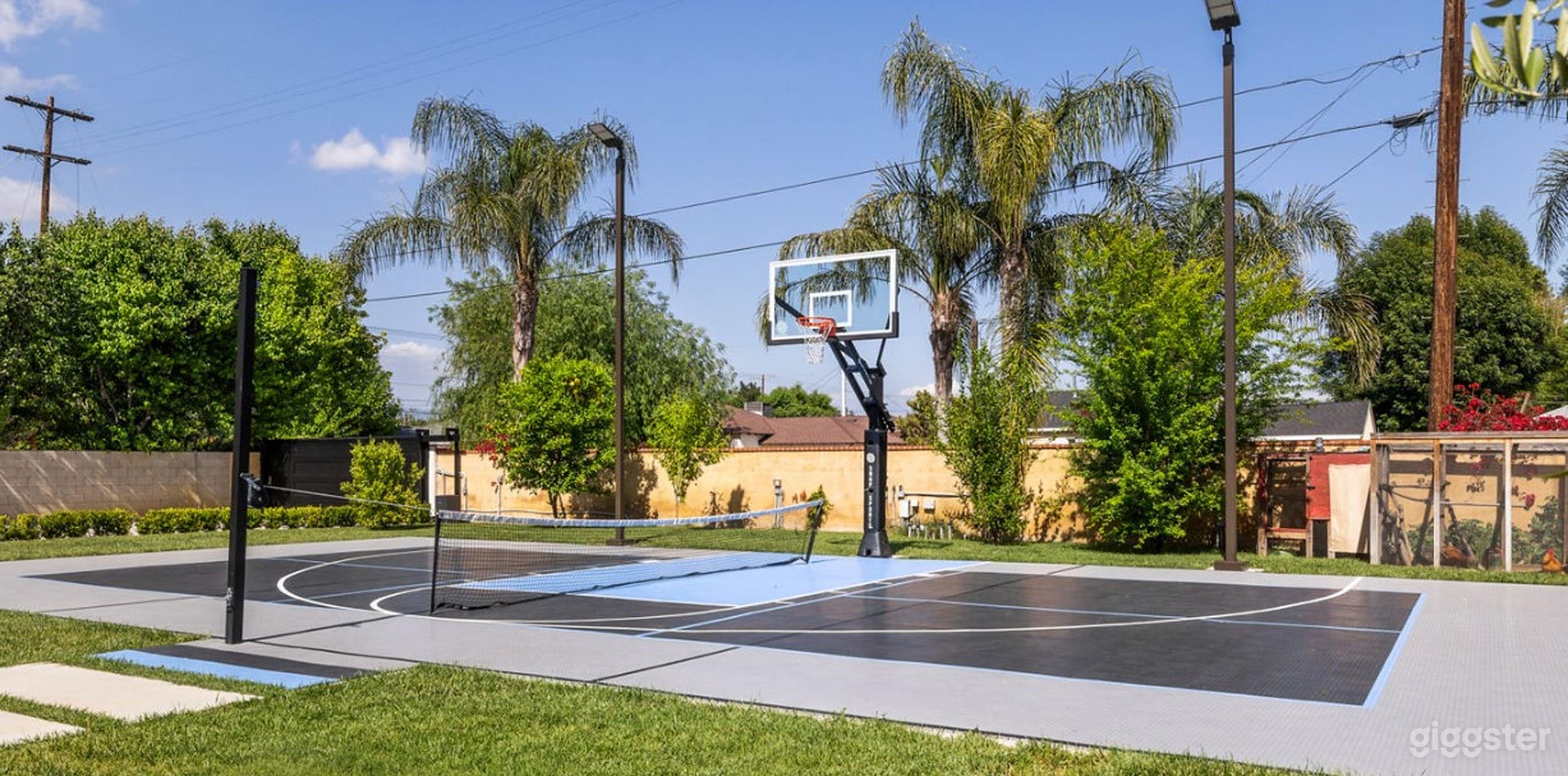 Exclusive Basketball Court Photo 3