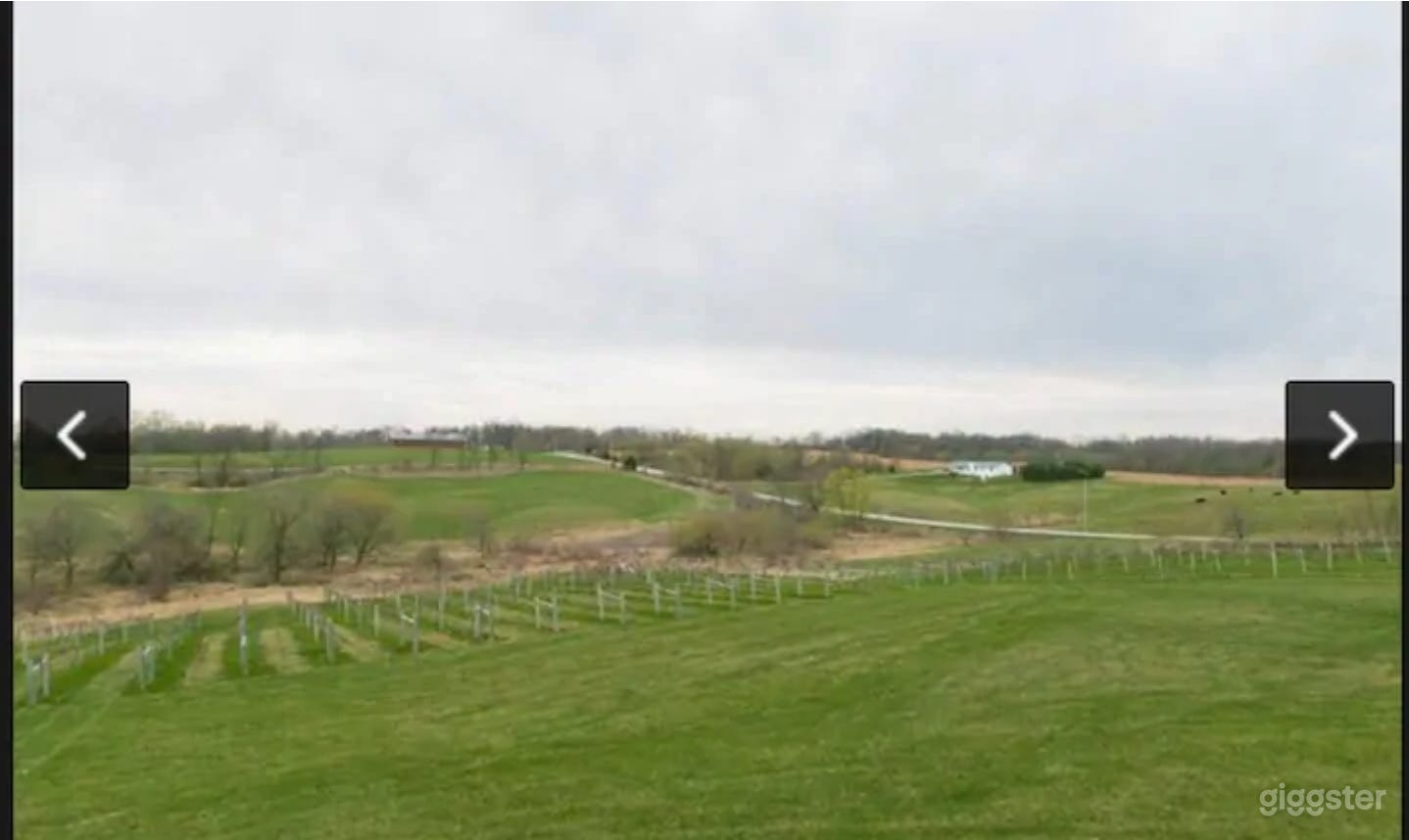   Log Home Vineyard Retreat     Photo 3