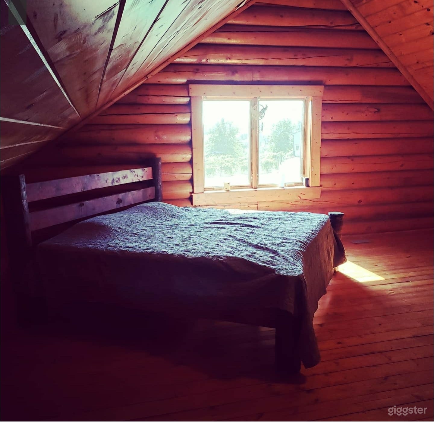   Log Home Vineyard Retreat     Photo 4