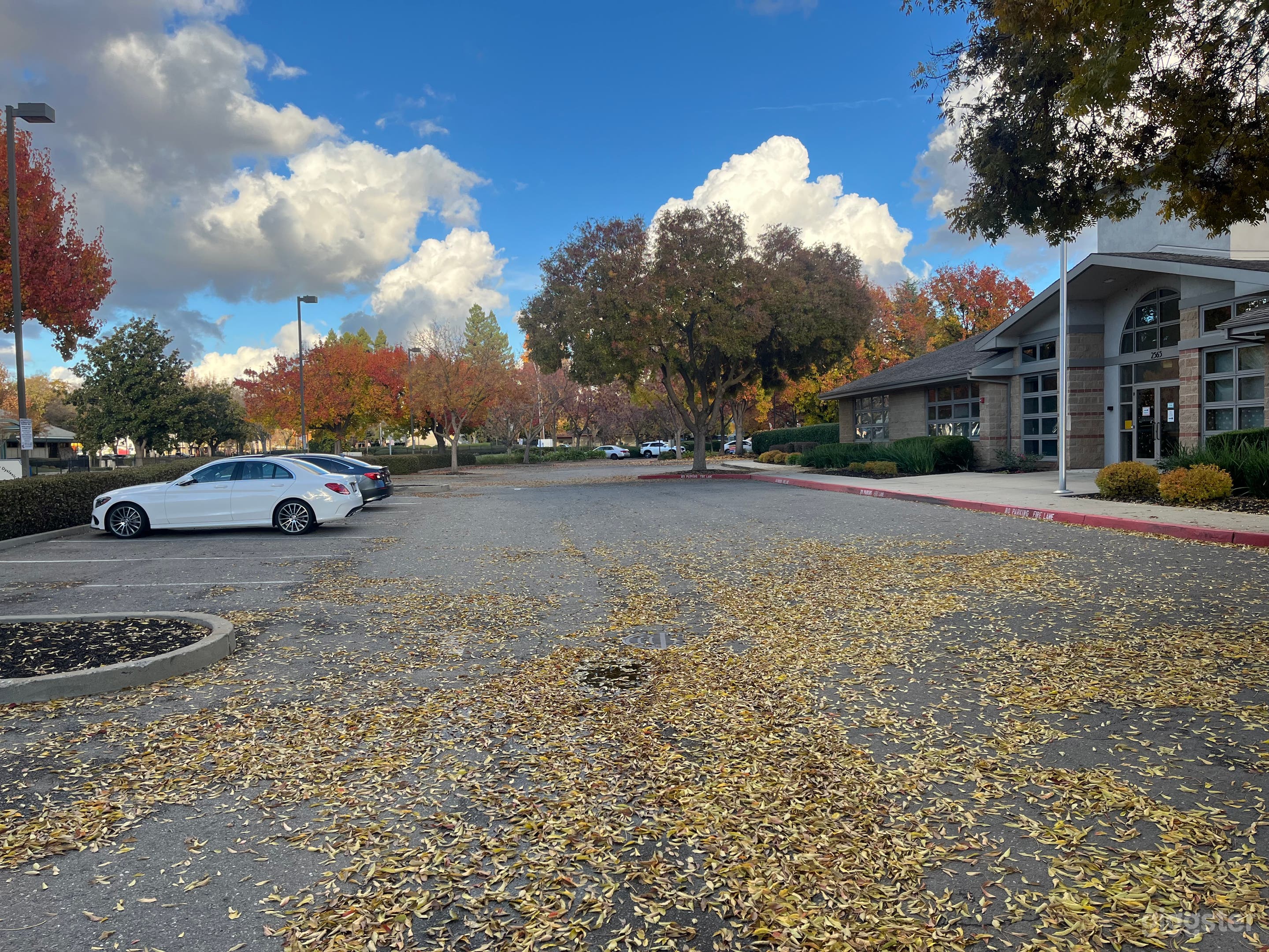 Versatile Outdoor Space for Community Events Photo 1