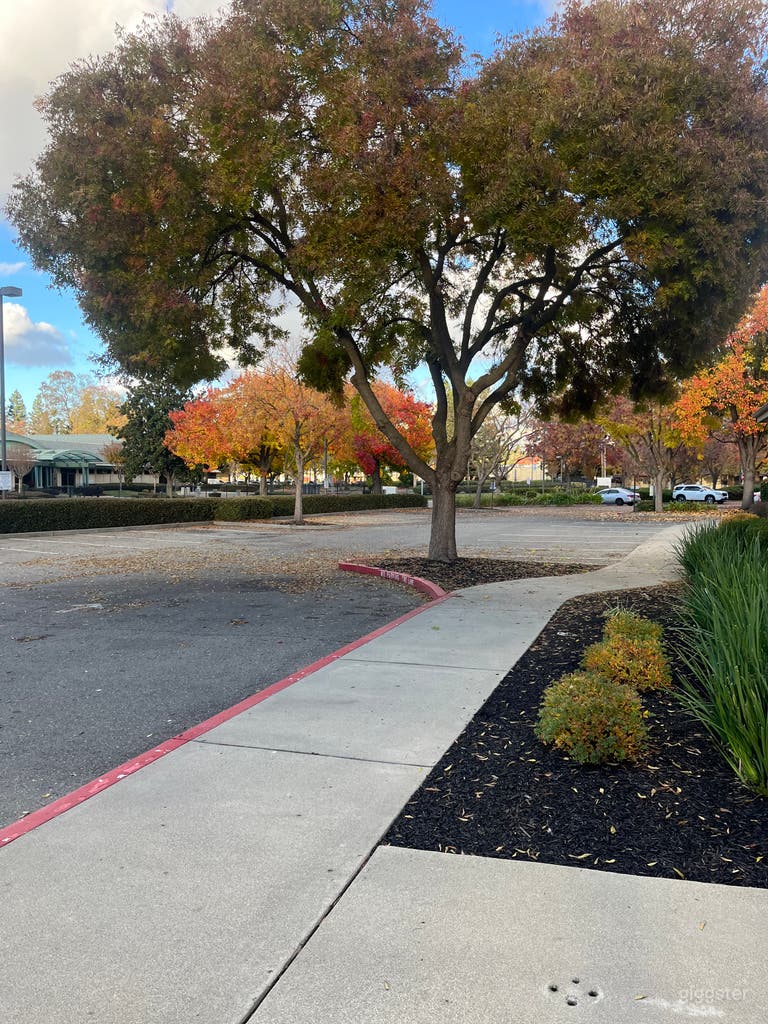  Versatile Outdoor Space for Community Events 