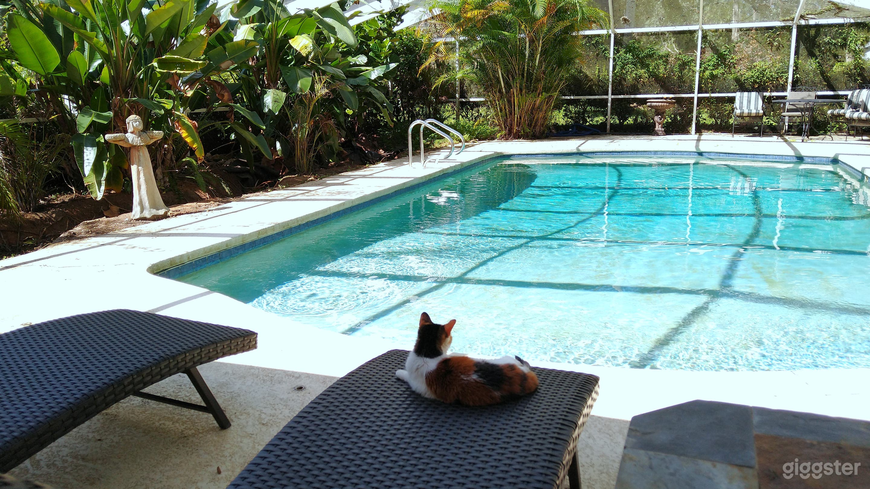 Hidden pool for photoshoots Photo 2