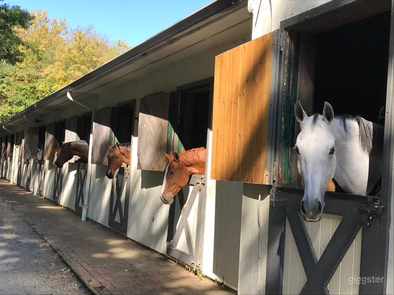  Outside Stable Horses looking out of Dutch Doors 