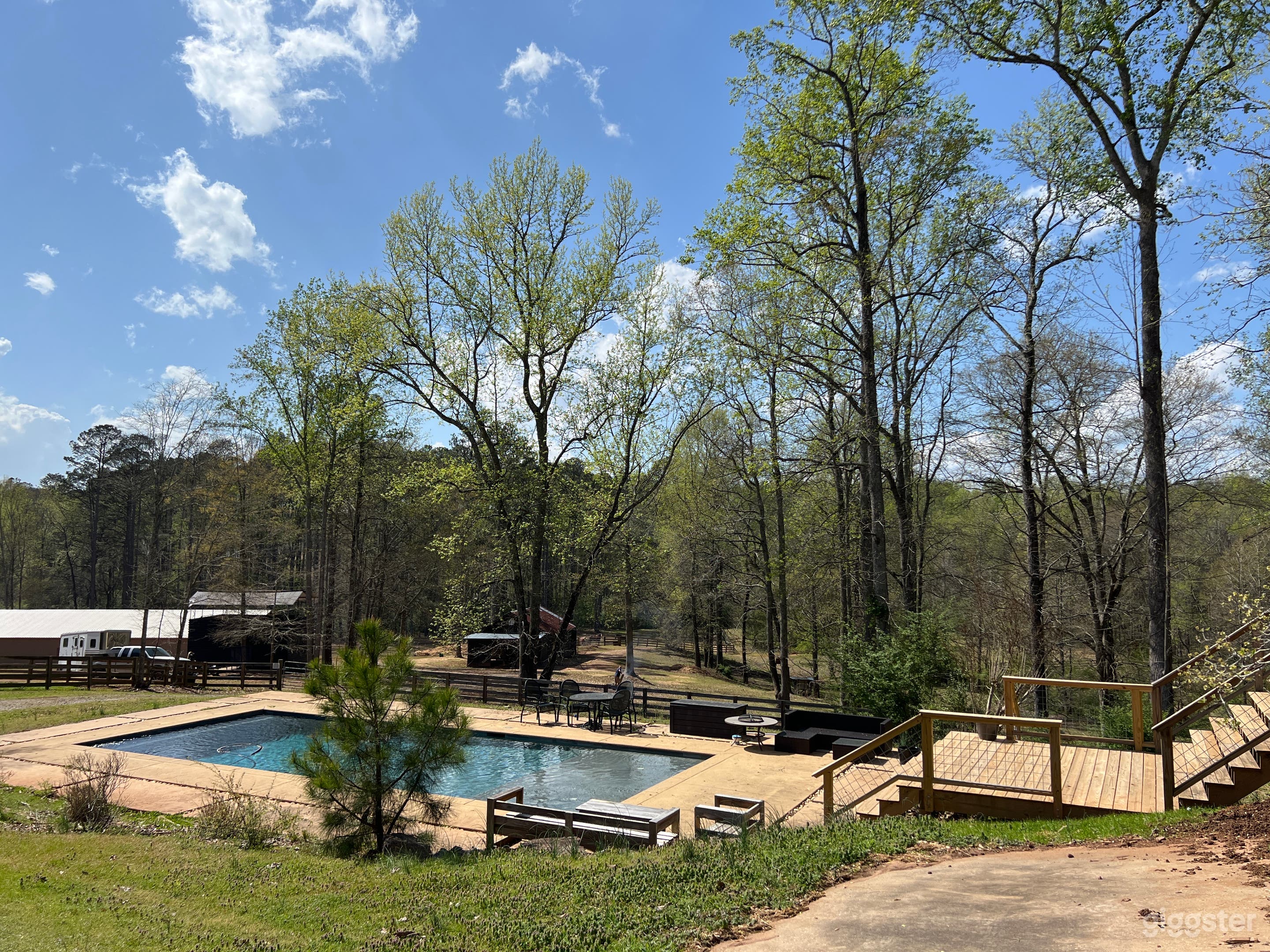 Palmetto horse farm/house/pool Photo 1