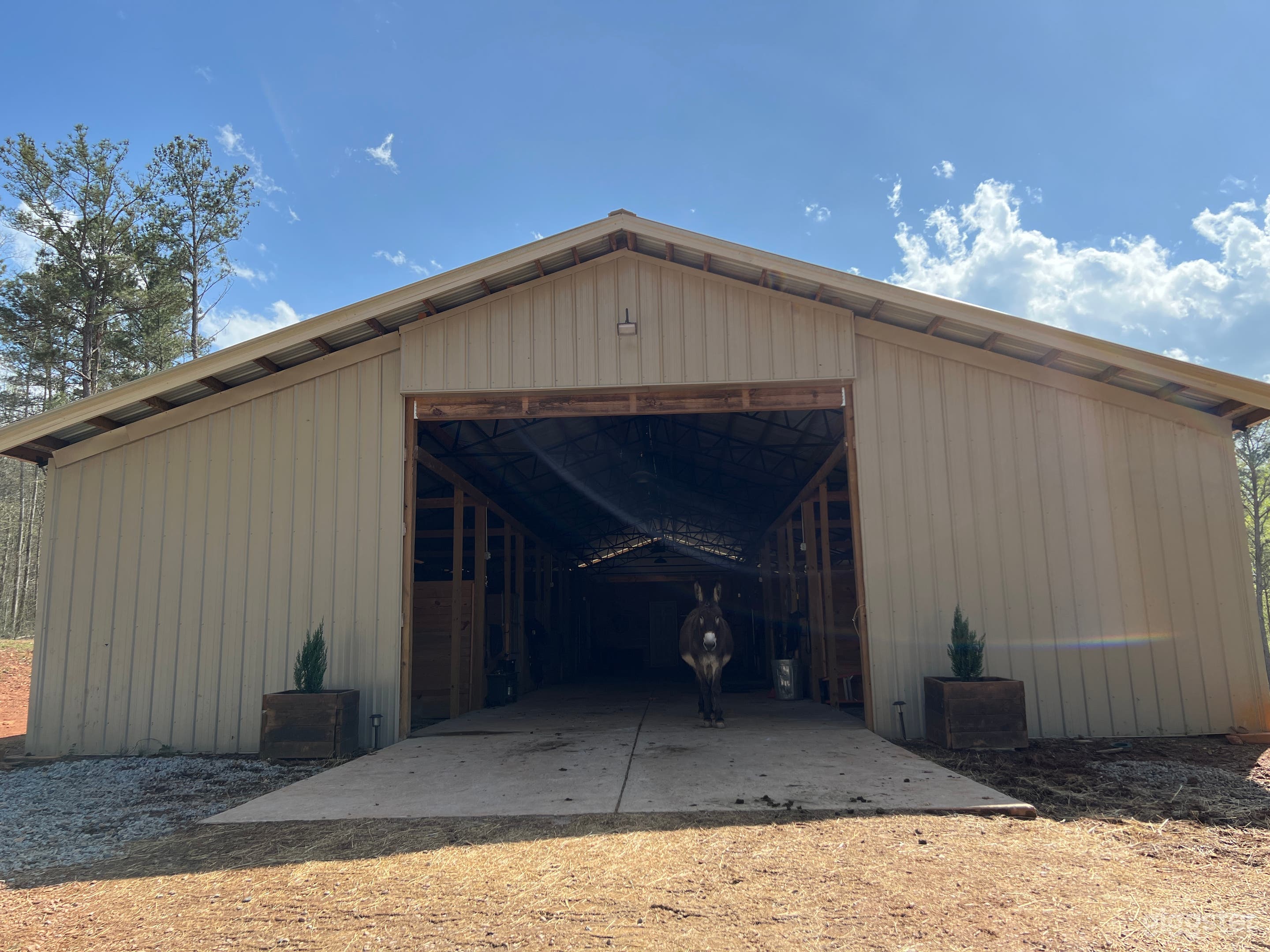 Palmetto horse farm/house/pool Photo 3