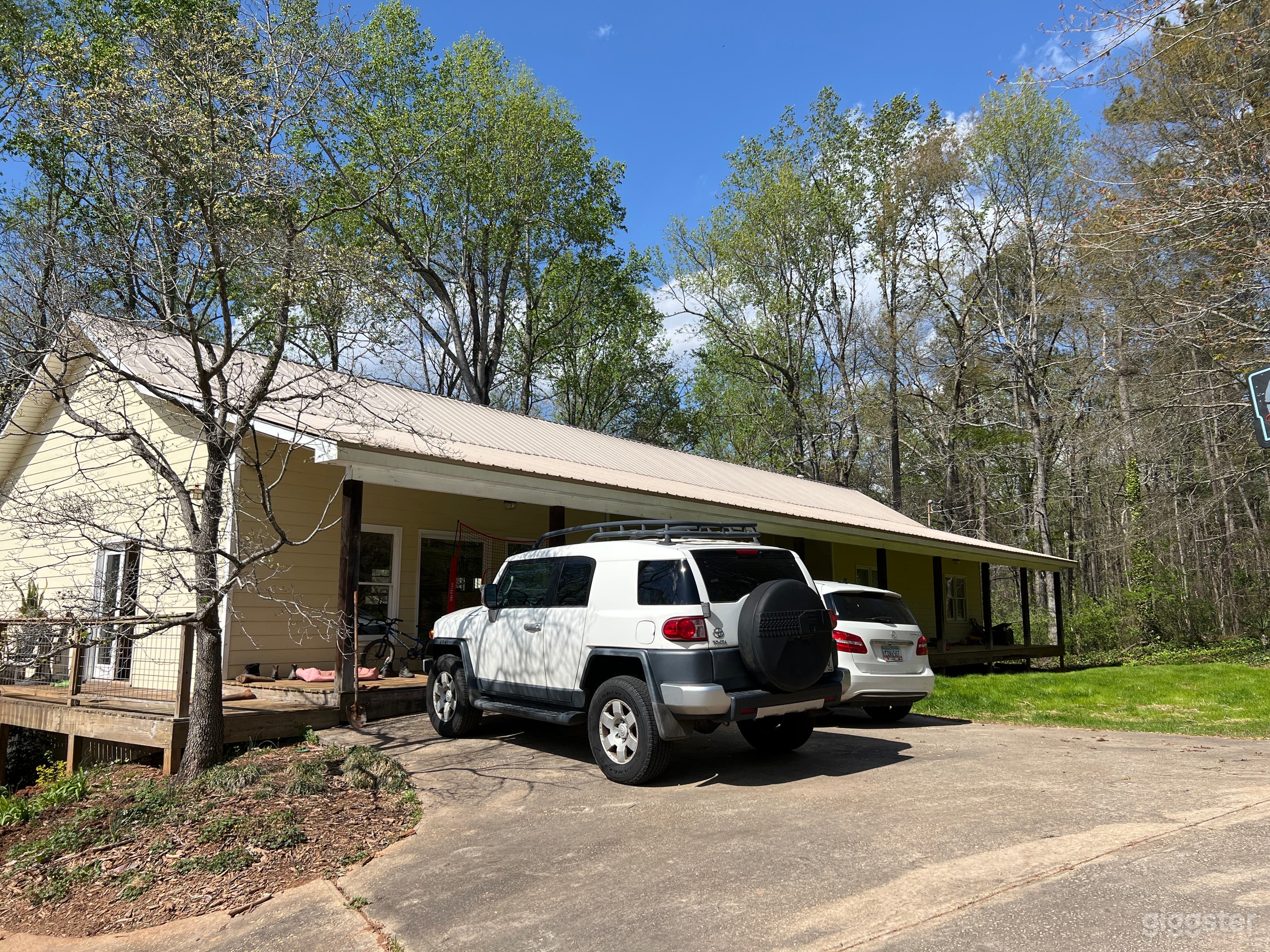 Palmetto horse farm/house/pool Photo 2