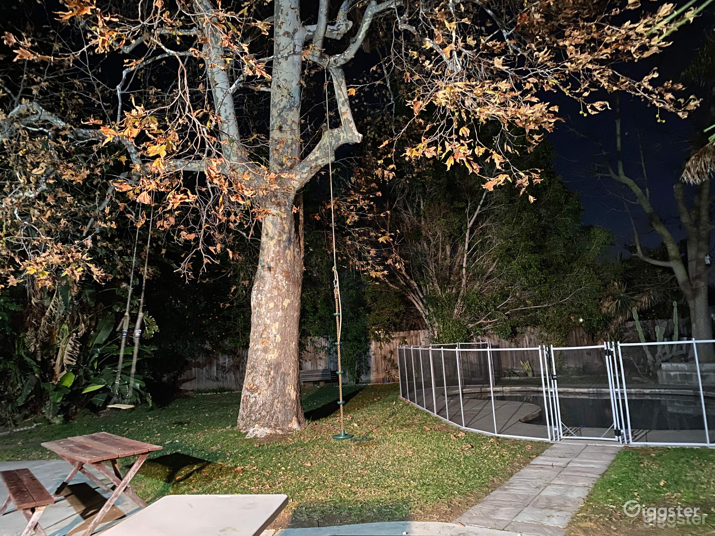 Nice pool in a Large secluded backyard with firepit Photo 4