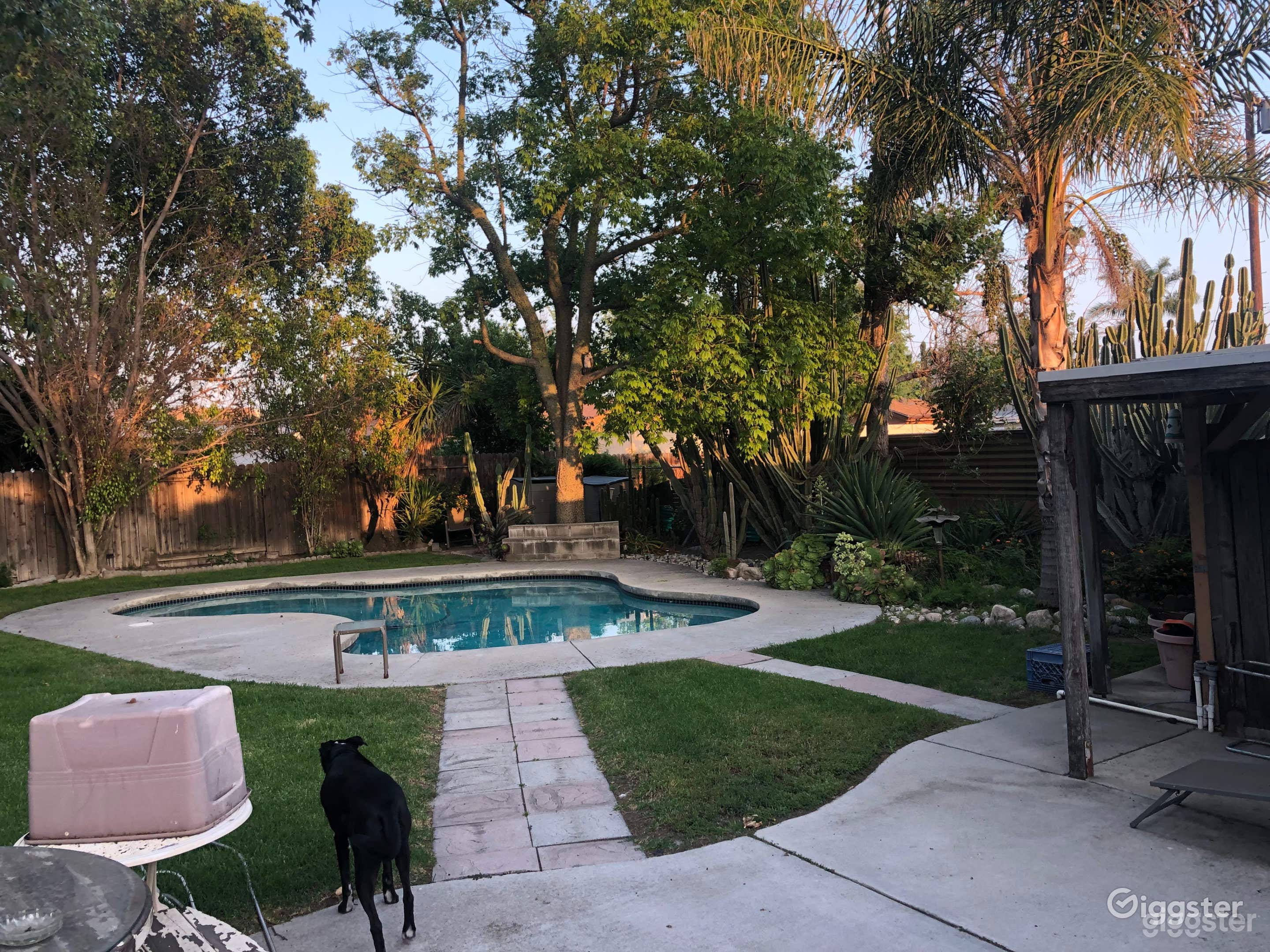 Nice pool in a Large secluded backyard with firepit Photo 3
