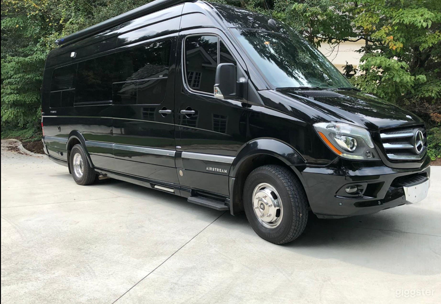 14-Passenger Luxury Sprinter Van Photo 1