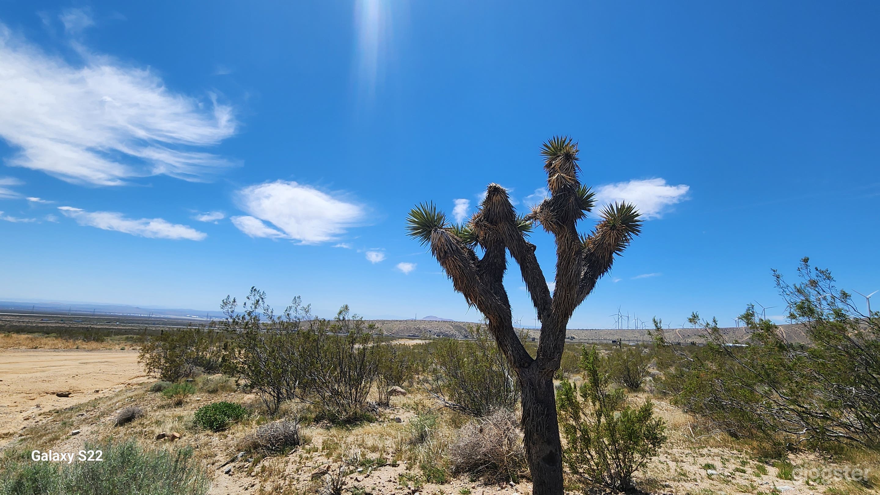 Desert Oasis in Mojave, CA Photo 1