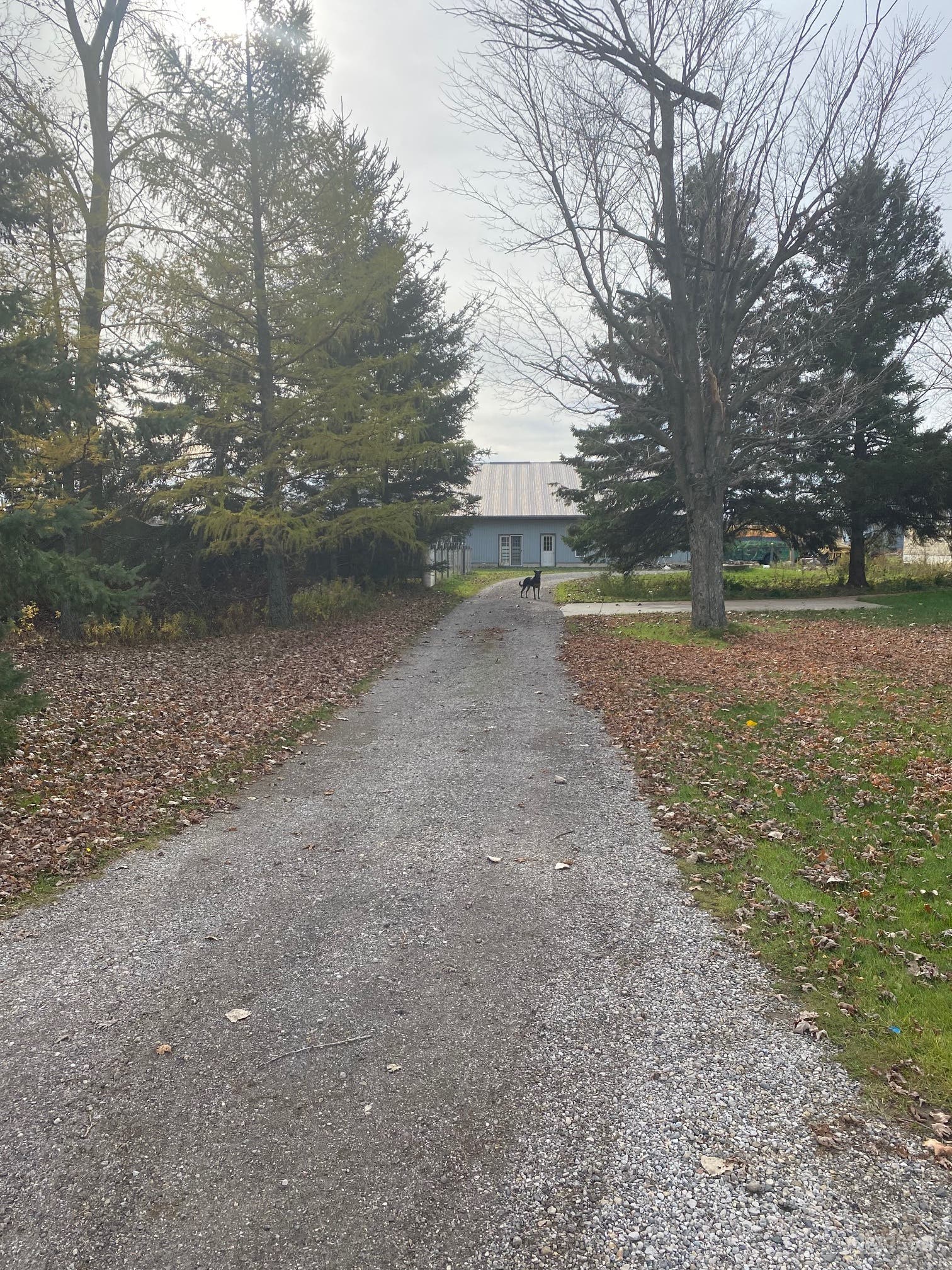 Beautiful driveway entrance to back shop and pool area. There are two driveways. This is the main one and there is a back one. 