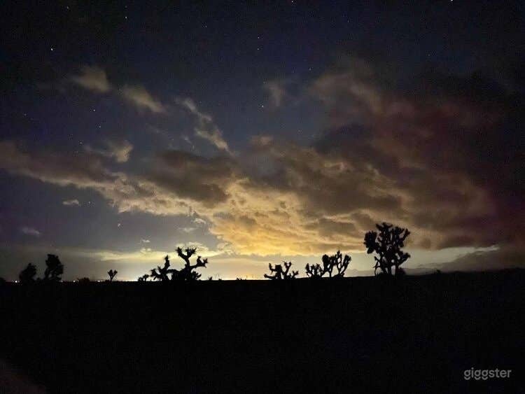 Joshua Tree Ranch Los Angeles Photo 2